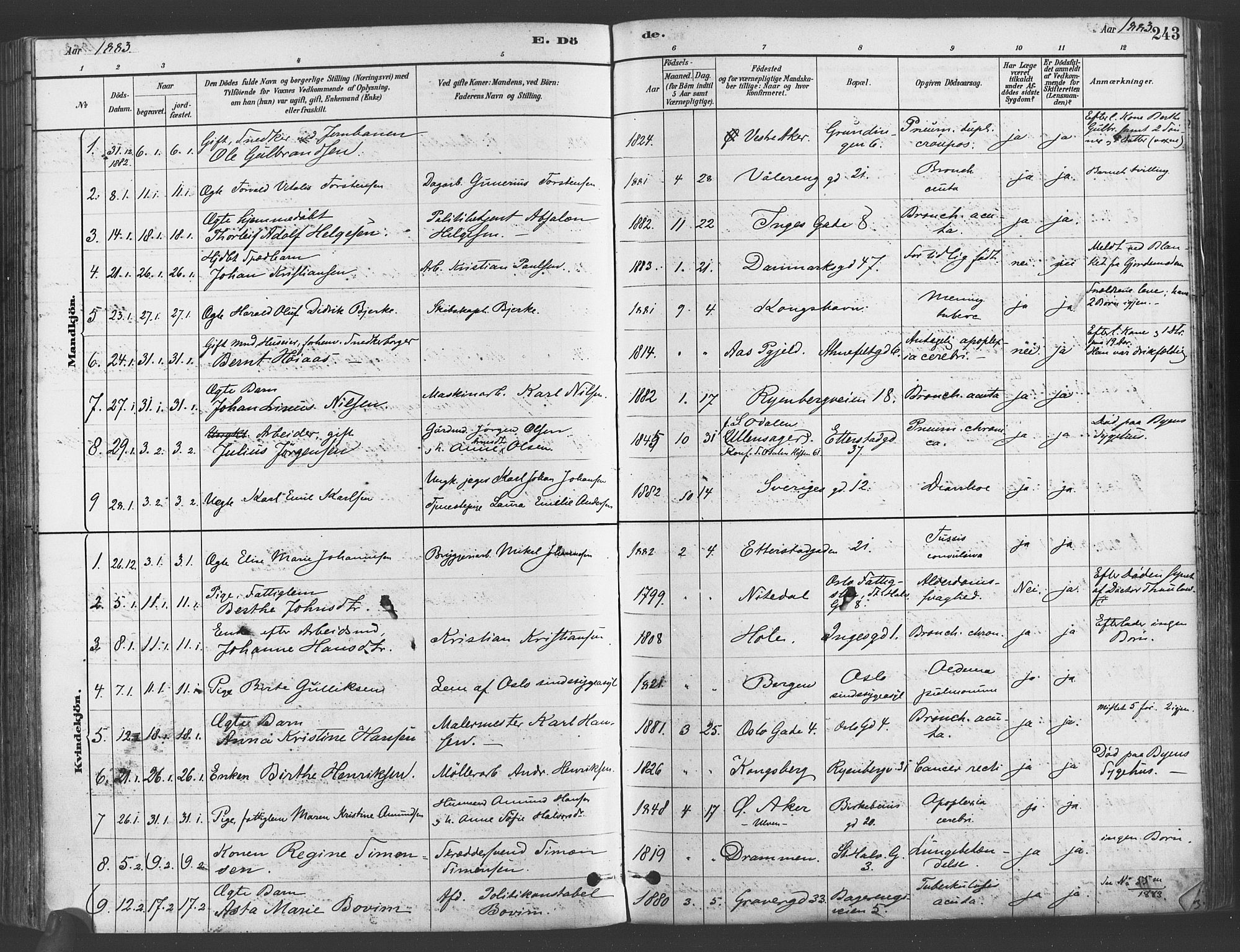 Gamlebyen prestekontor Kirkebøker, AV/SAO-A-10884/F/Fa/L0006: Parish register (official) no. 6, 1881-1890, p. 243