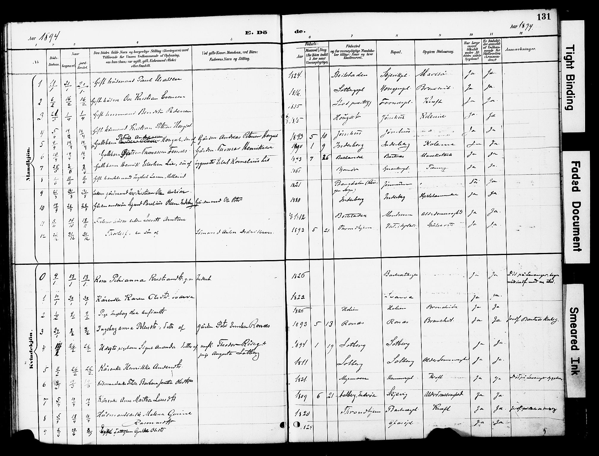 Ministerialprotokoller, klokkerbøker og fødselsregistre - Nord-Trøndelag, SAT/A-1458/741/L0396: Parish register (official) no. 741A10, 1889-1901, p. 131