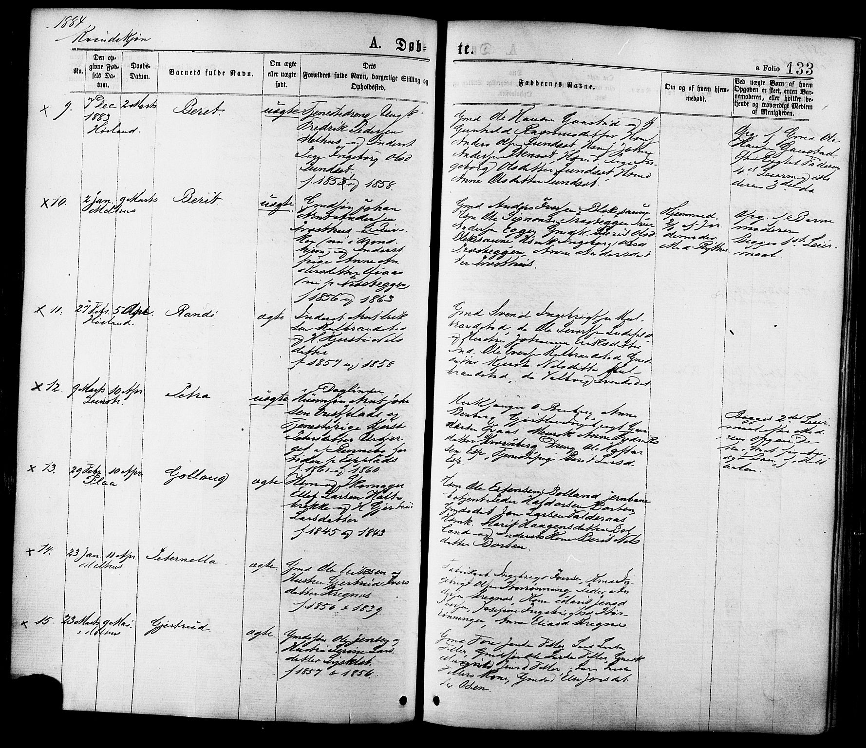 Ministerialprotokoller, klokkerbøker og fødselsregistre - Sør-Trøndelag, AV/SAT-A-1456/691/L1079: Parish register (official) no. 691A11, 1873-1886, p. 133