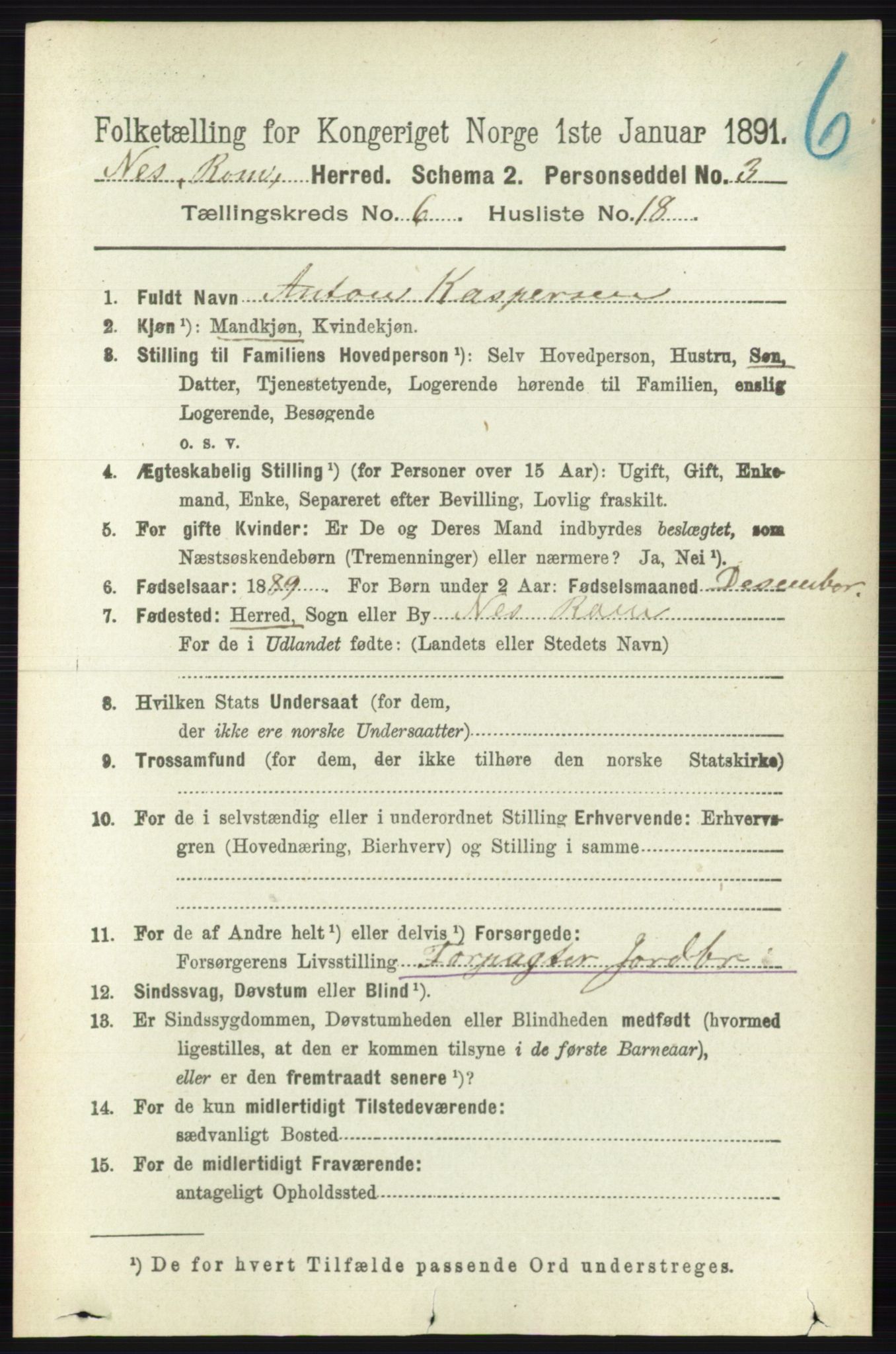 RA, 1891 census for 0236 Nes, 1891, p. 3490