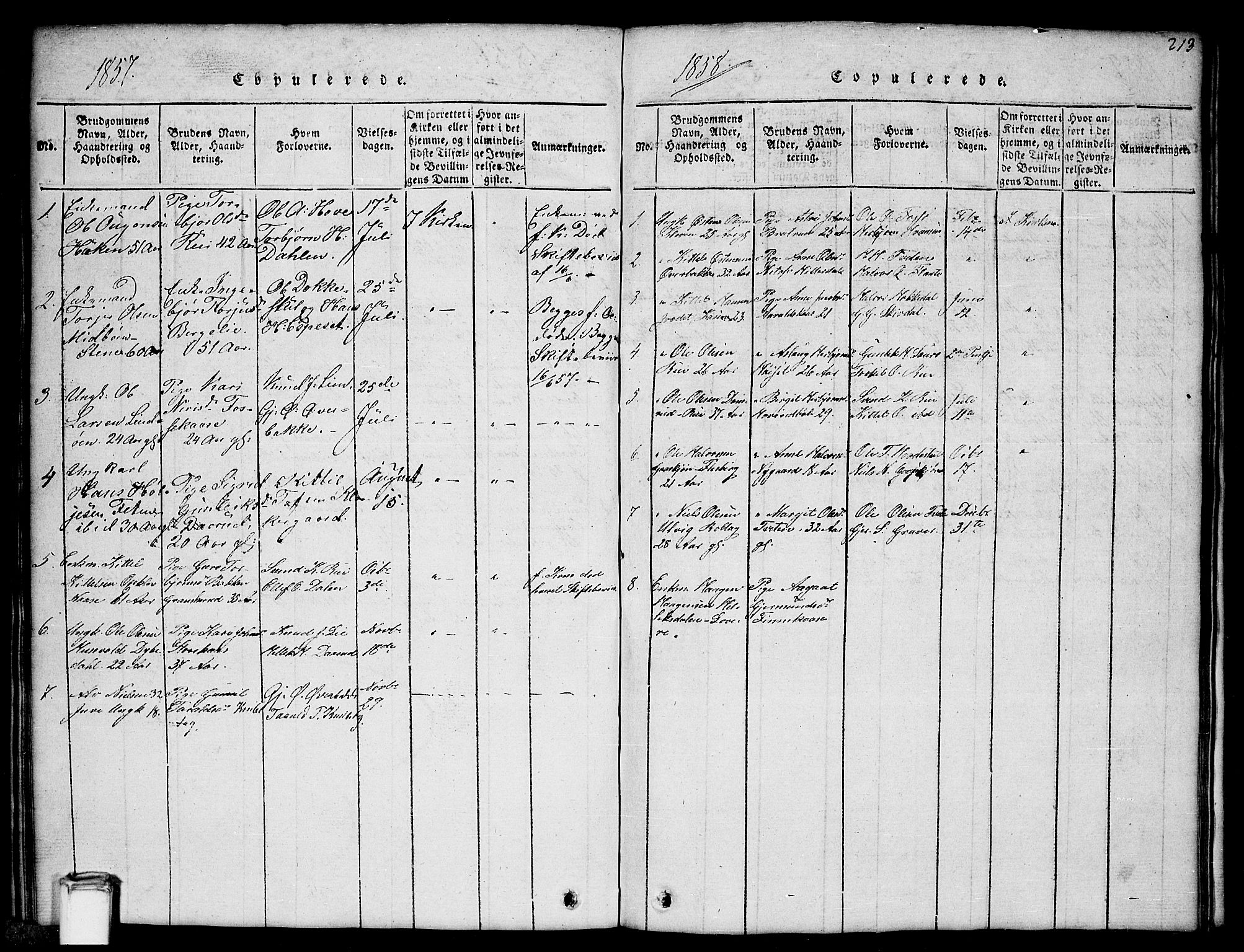 Gransherad kirkebøker, SAKO/A-267/G/Gb/L0001: Parish register (copy) no. II 1, 1815-1860, p. 213