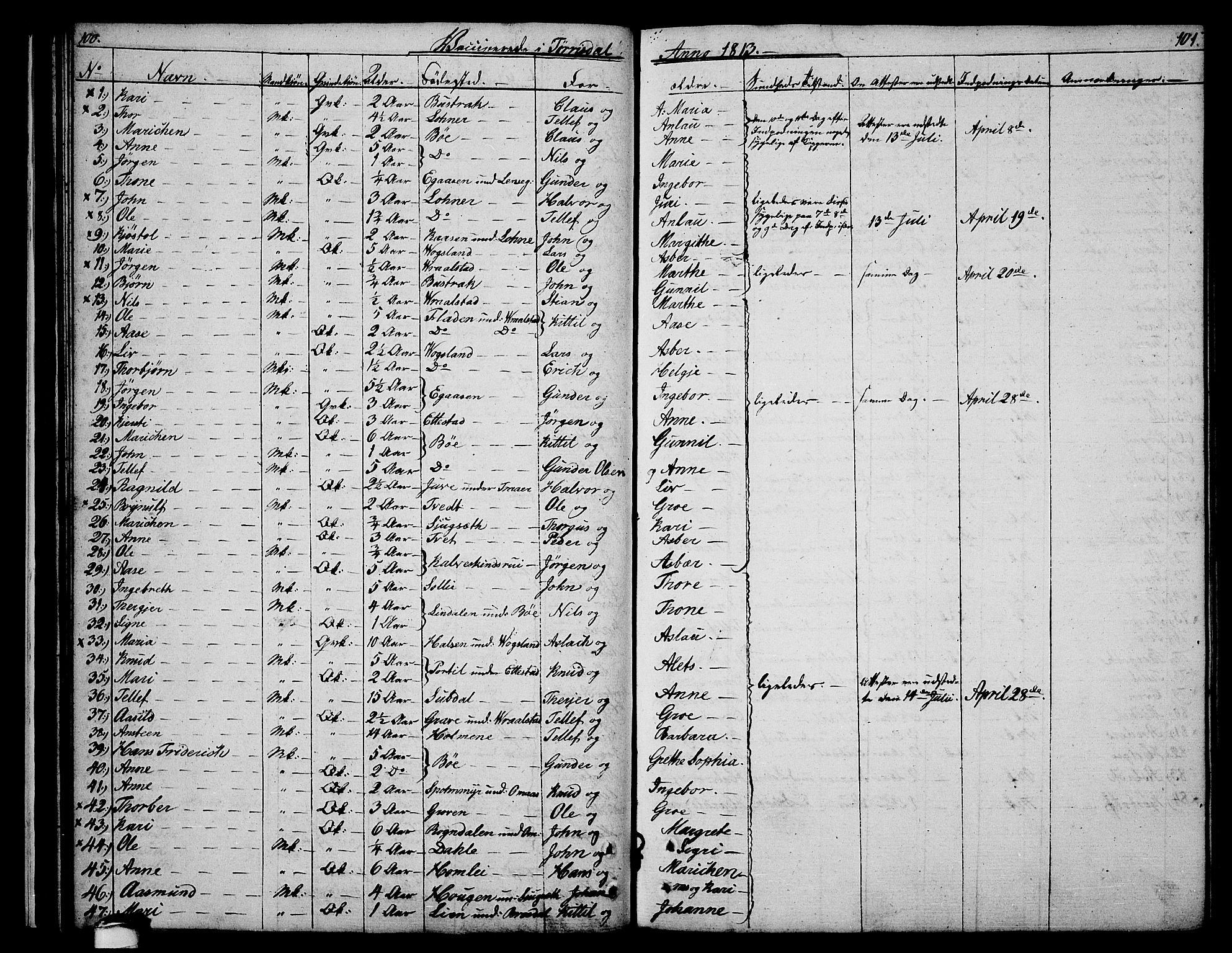 Drangedal kirkebøker, AV/SAKO-A-258/F/Fa/L0004: Parish register (official) no. 4, 1802-1814, p. 100-101