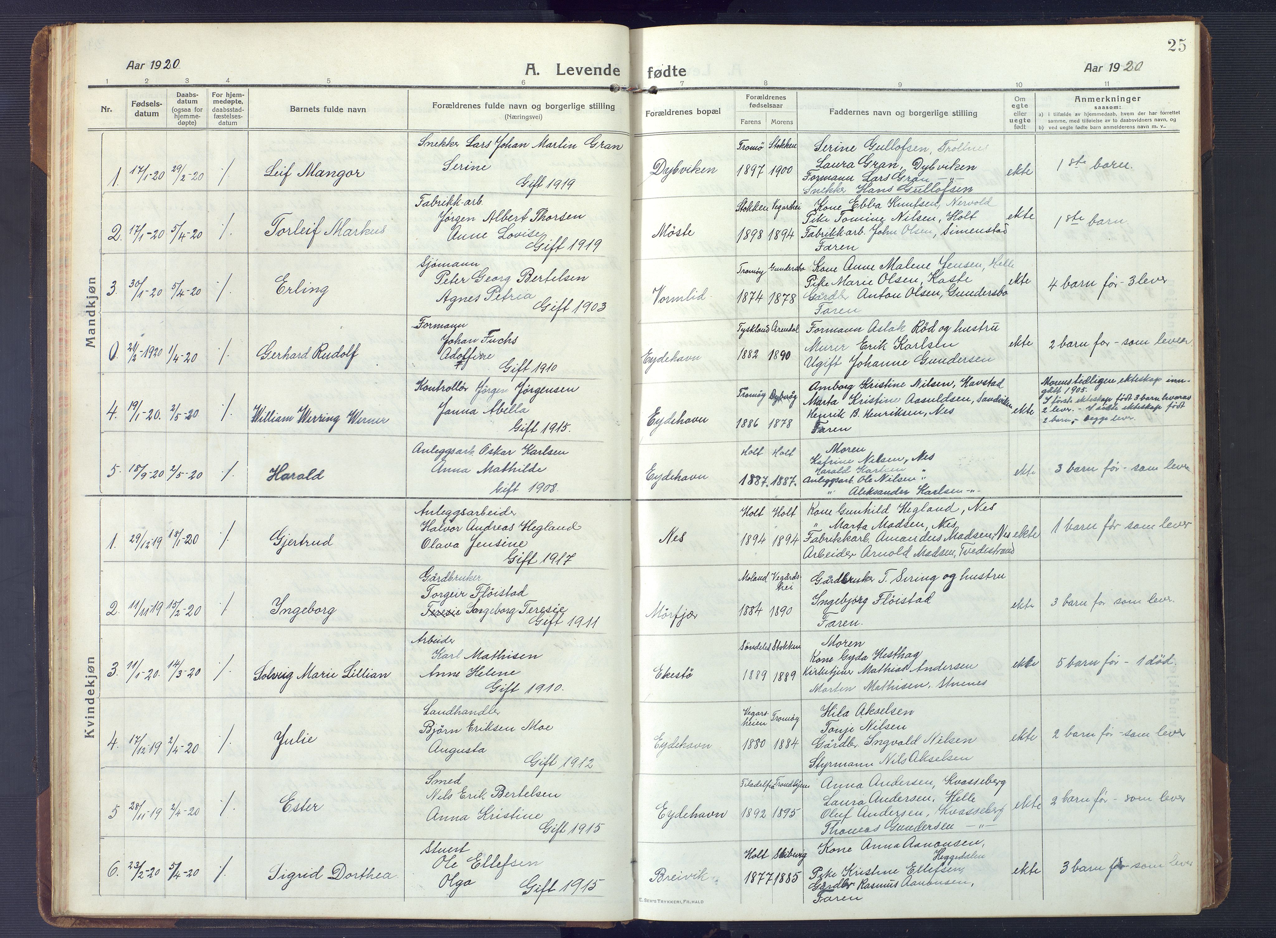 Austre Moland sokneprestkontor, SAK/1111-0001/F/Fb/Fbb/L0004: Parish register (copy) no. B 4, 1914-1929, p. 25