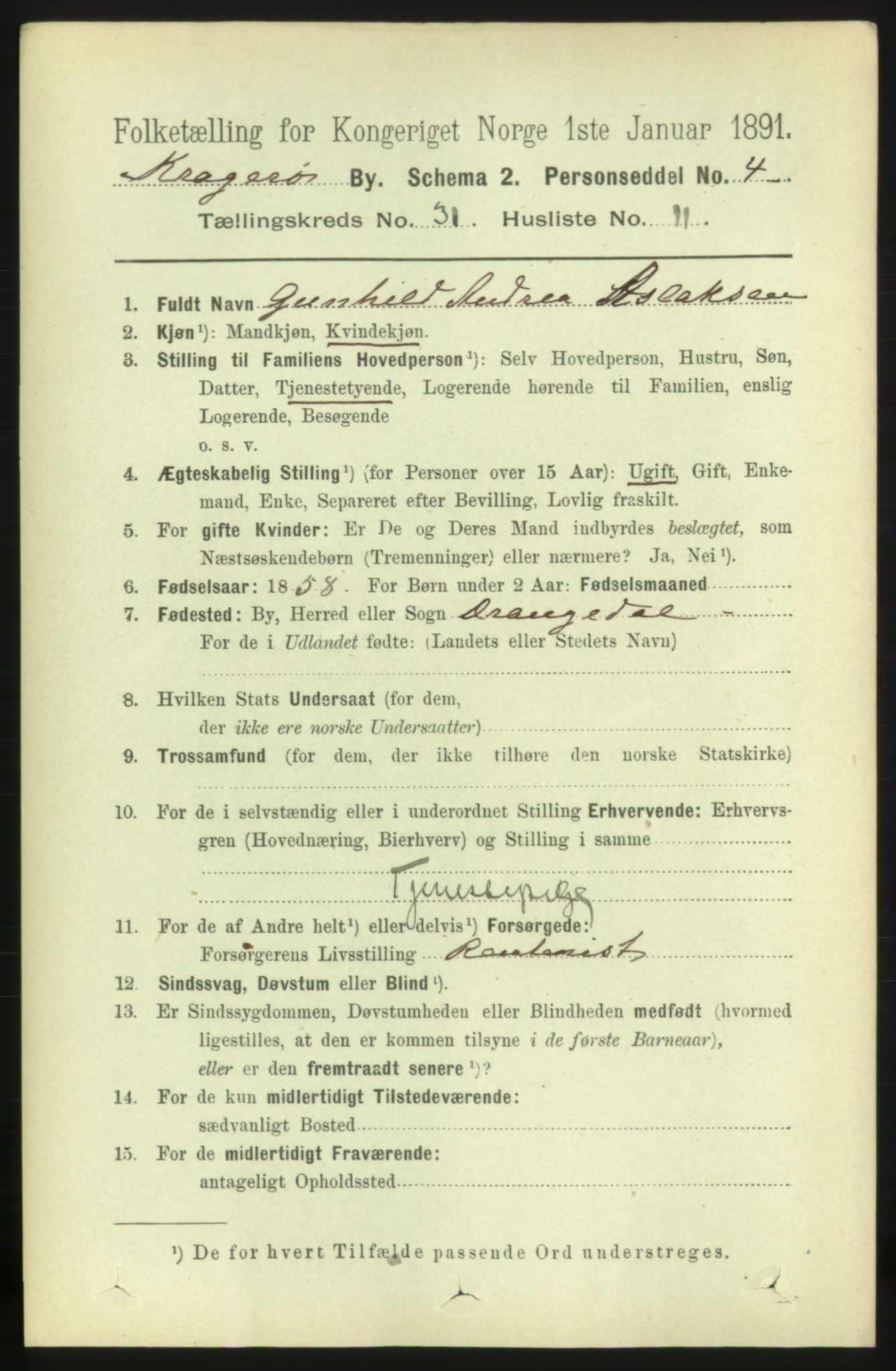 RA, 1891 census for 0801 Kragerø, 1891, p. 5782