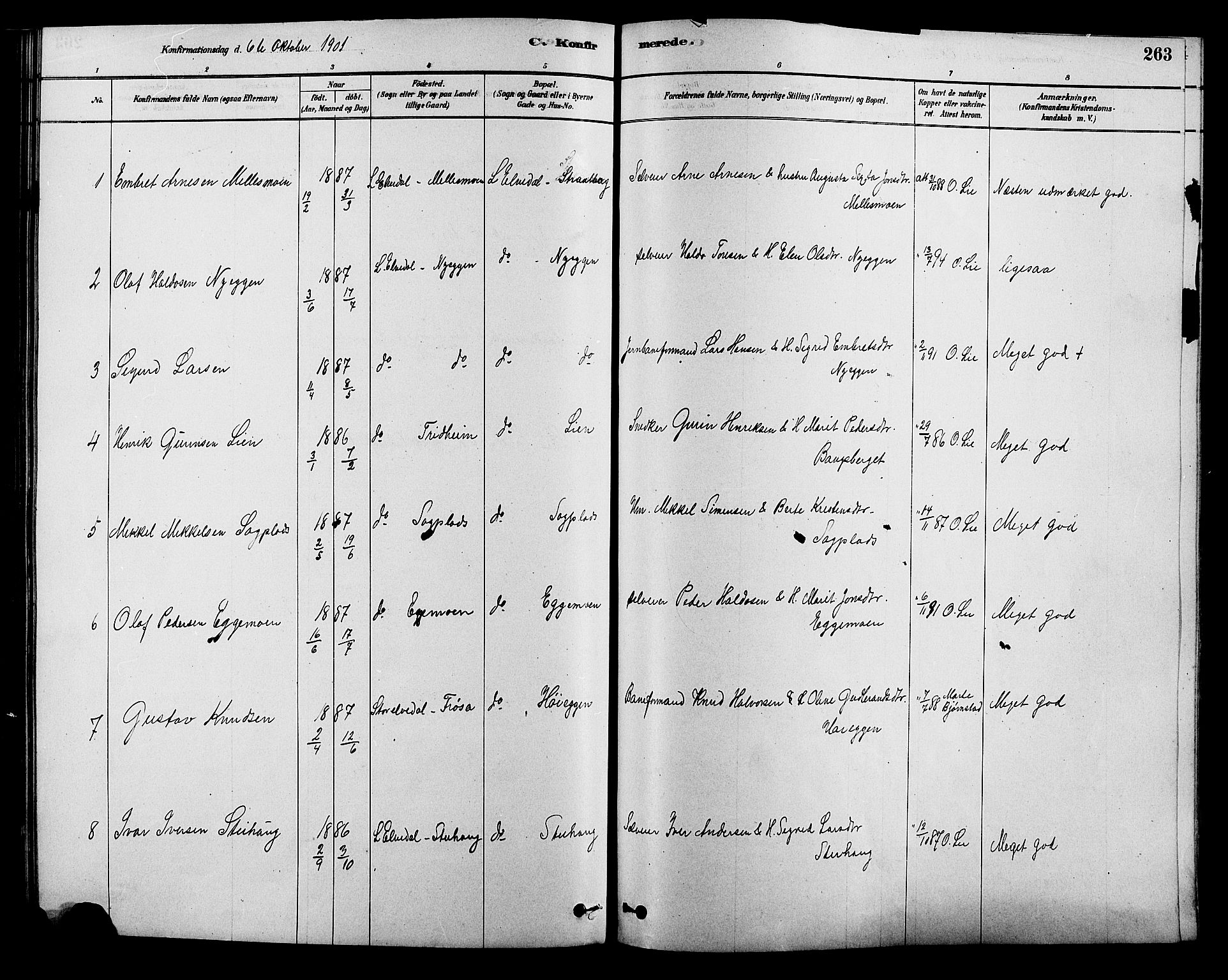 Alvdal prestekontor, SAH/PREST-060/H/Ha/Hab/L0003: Parish register (copy) no. 3, 1878-1907, p. 263