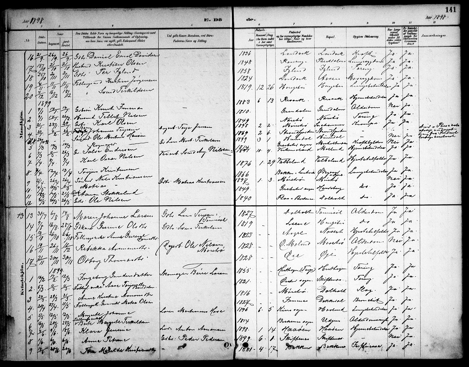 Hommedal sokneprestkontor, AV/SAK-1111-0023/F/Fb/Fbb/L0007: Parish register (copy) no. B 7, 1885-1904, p. 141