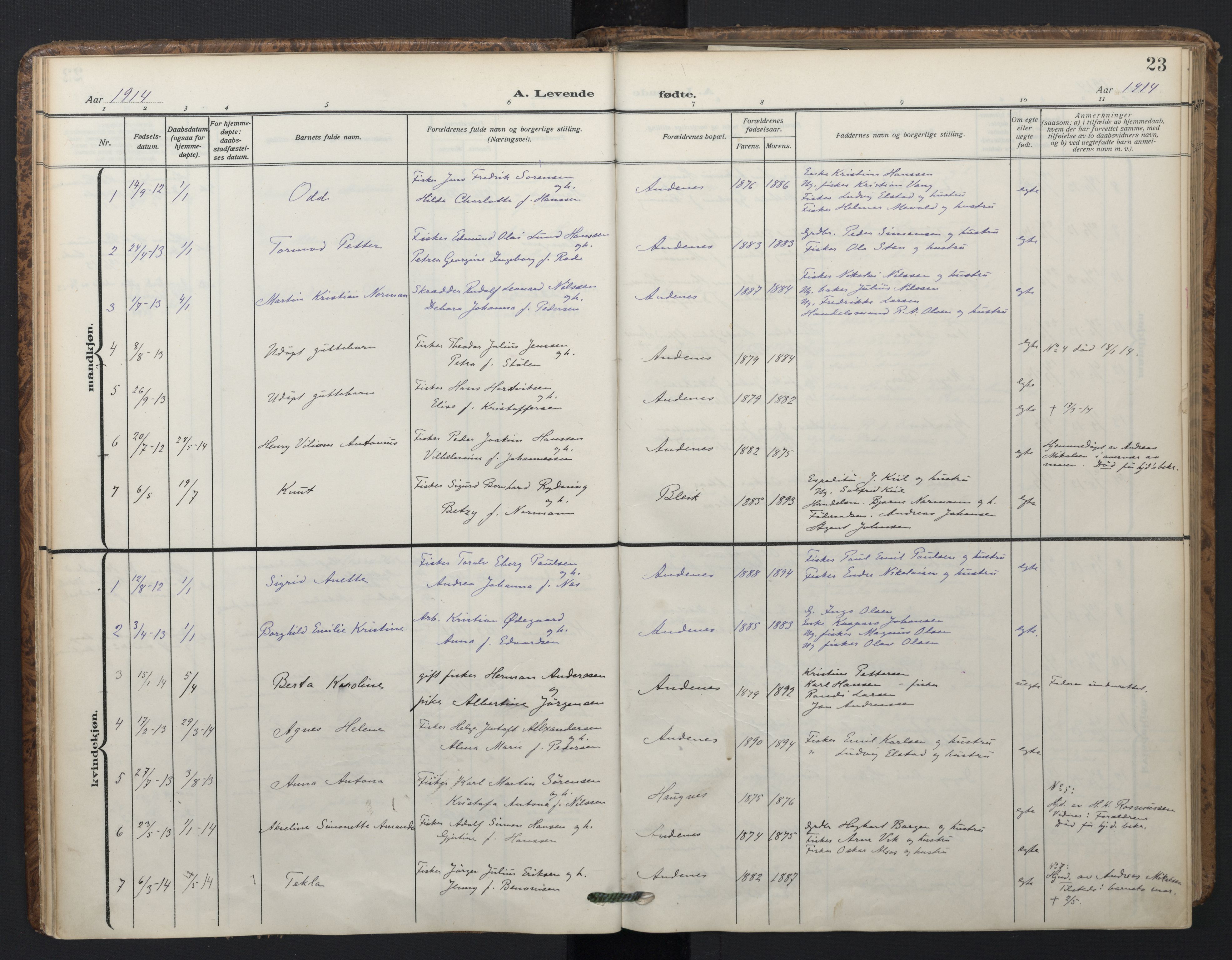 Ministerialprotokoller, klokkerbøker og fødselsregistre - Nordland, SAT/A-1459/899/L1438: Parish register (official) no. 899A06, 1909-1922, p. 23