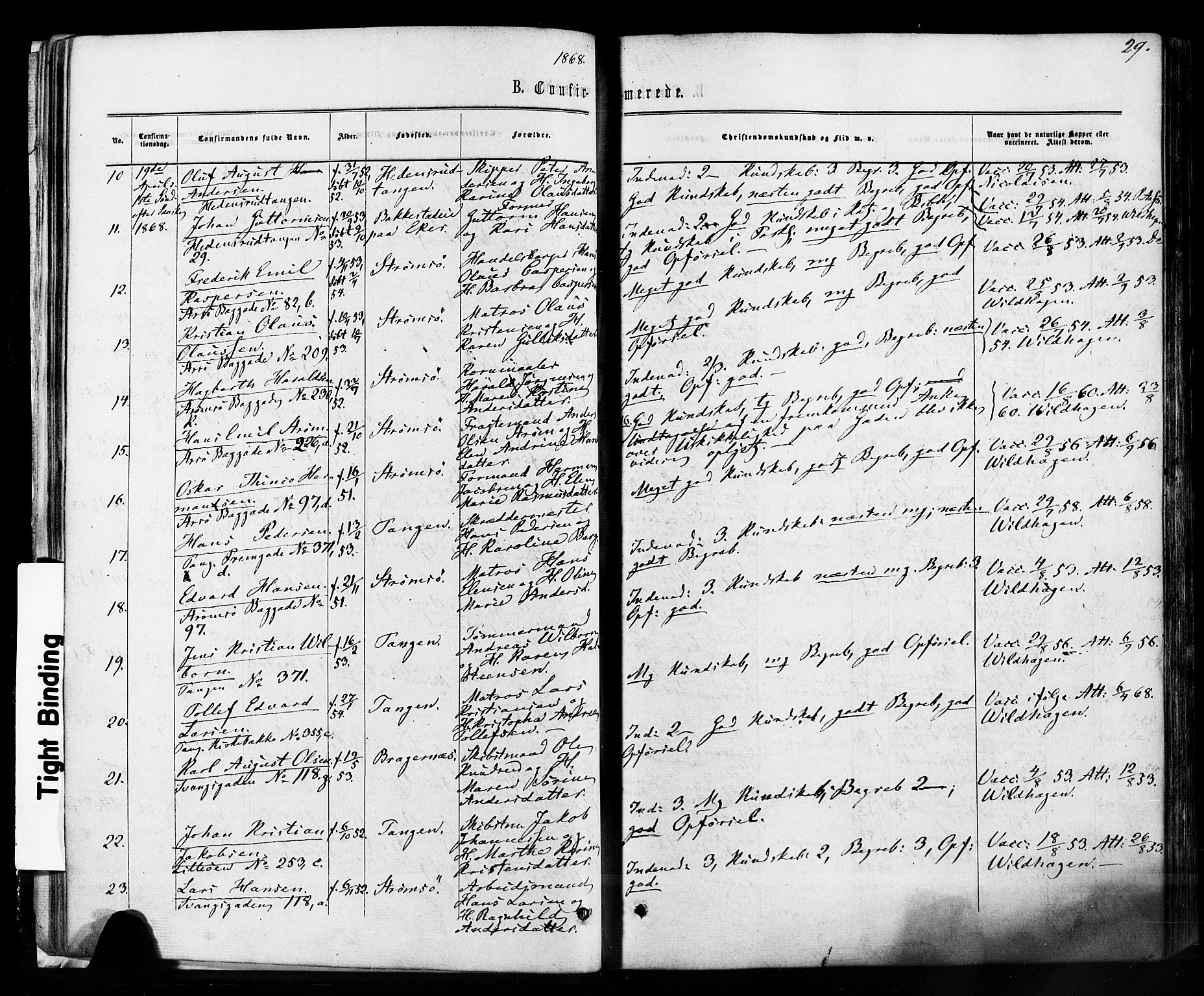 Strømsø kirkebøker, SAKO/A-246/F/Fa/L0018: Parish register (official) no. I 18, 1865-1878, p. 29