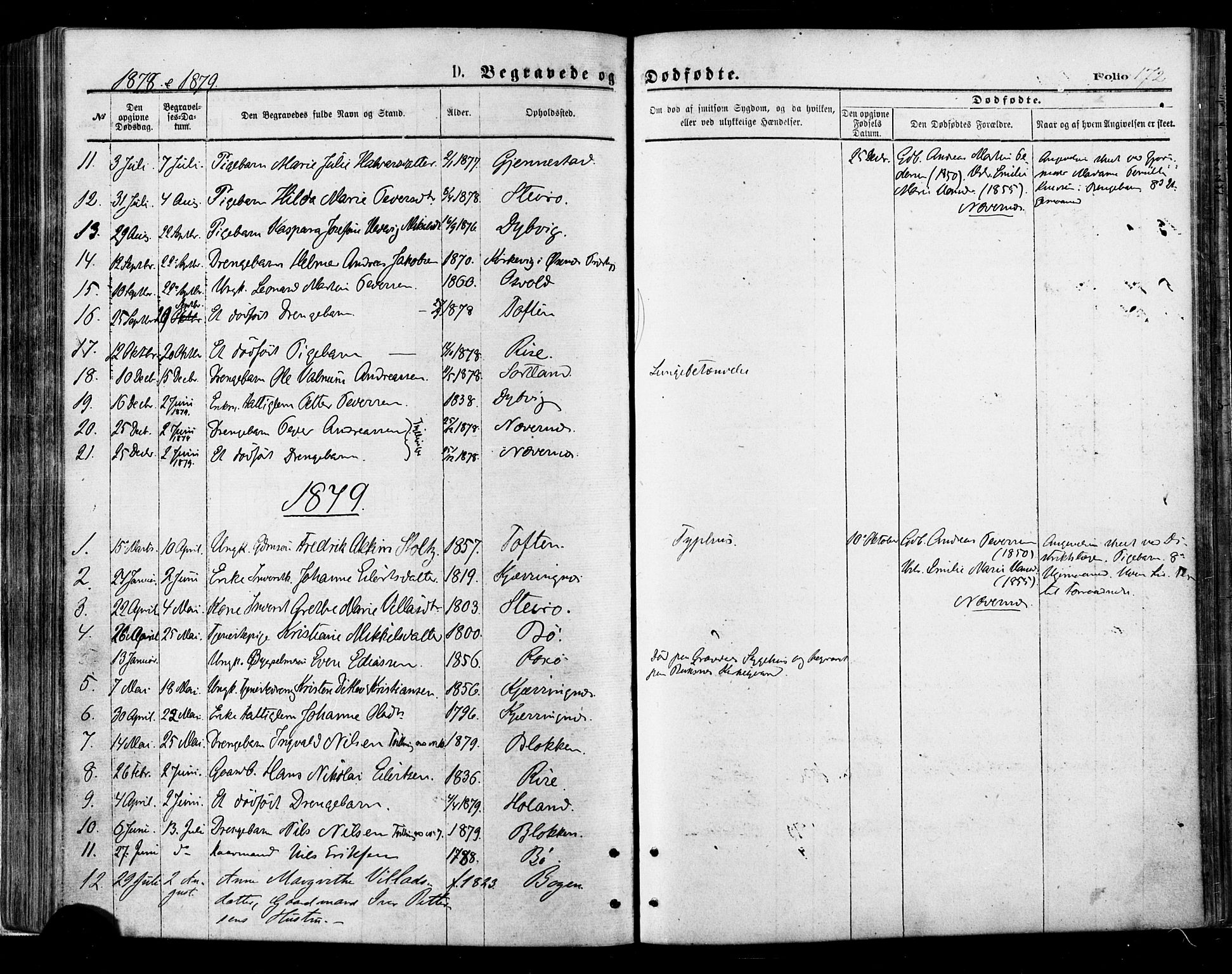 Ministerialprotokoller, klokkerbøker og fødselsregistre - Nordland, AV/SAT-A-1459/895/L1370: Parish register (official) no. 895A05, 1873-1884, p. 172