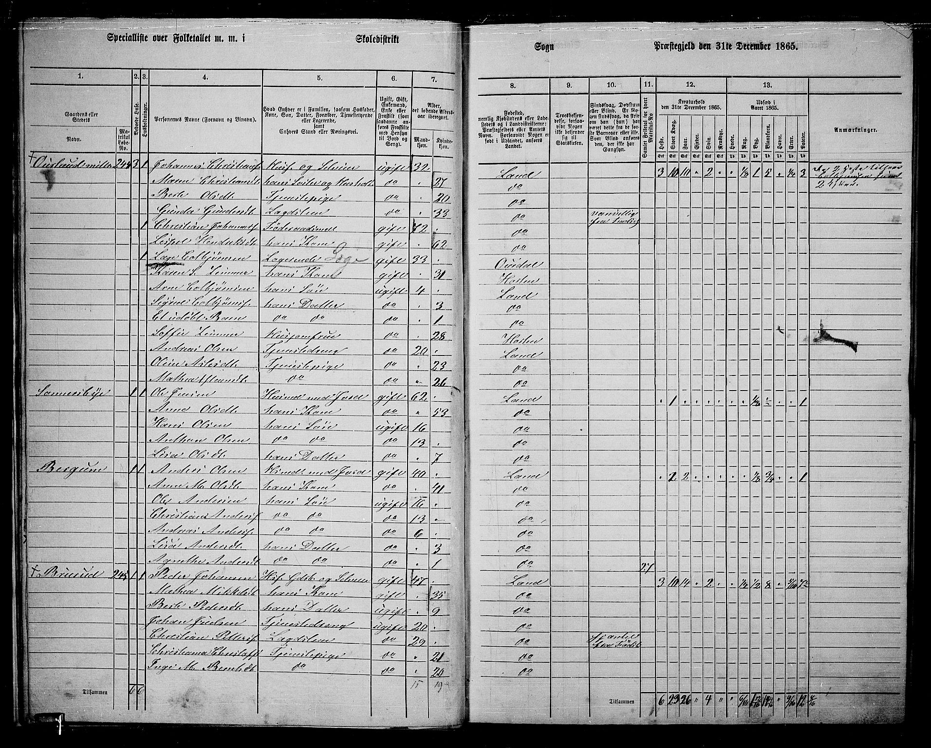 RA, 1865 census for Land, 1865, p. 231