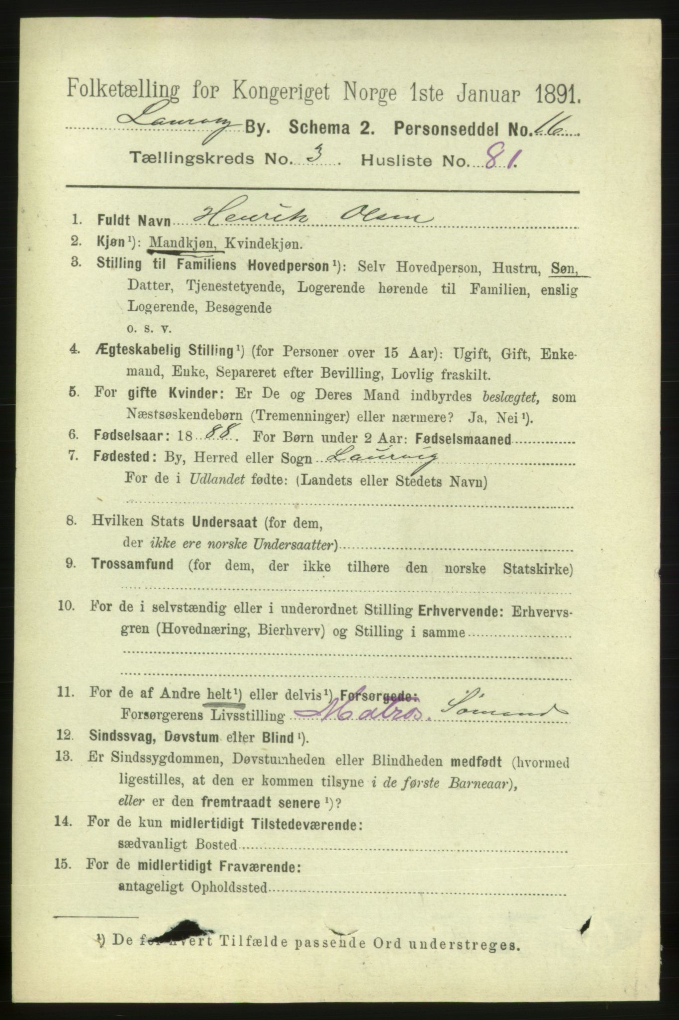 RA, 1891 census for 0707 Larvik, 1891, p. 5055