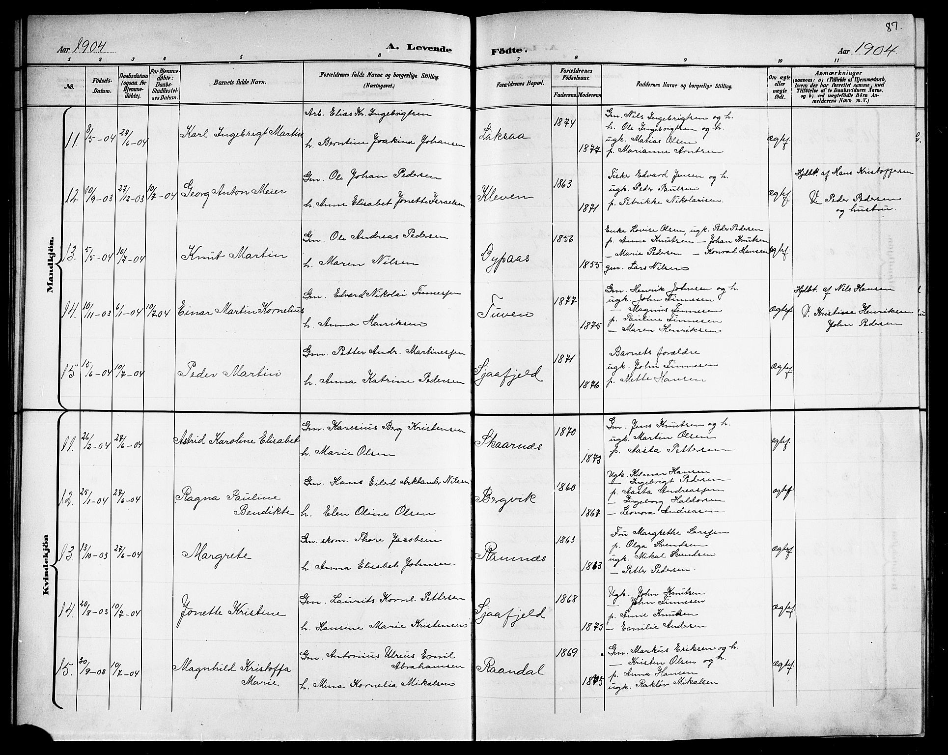 Ministerialprotokoller, klokkerbøker og fødselsregistre - Nordland, AV/SAT-A-1459/863/L0915: Parish register (copy) no. 863C05, 1898-1907, p. 87