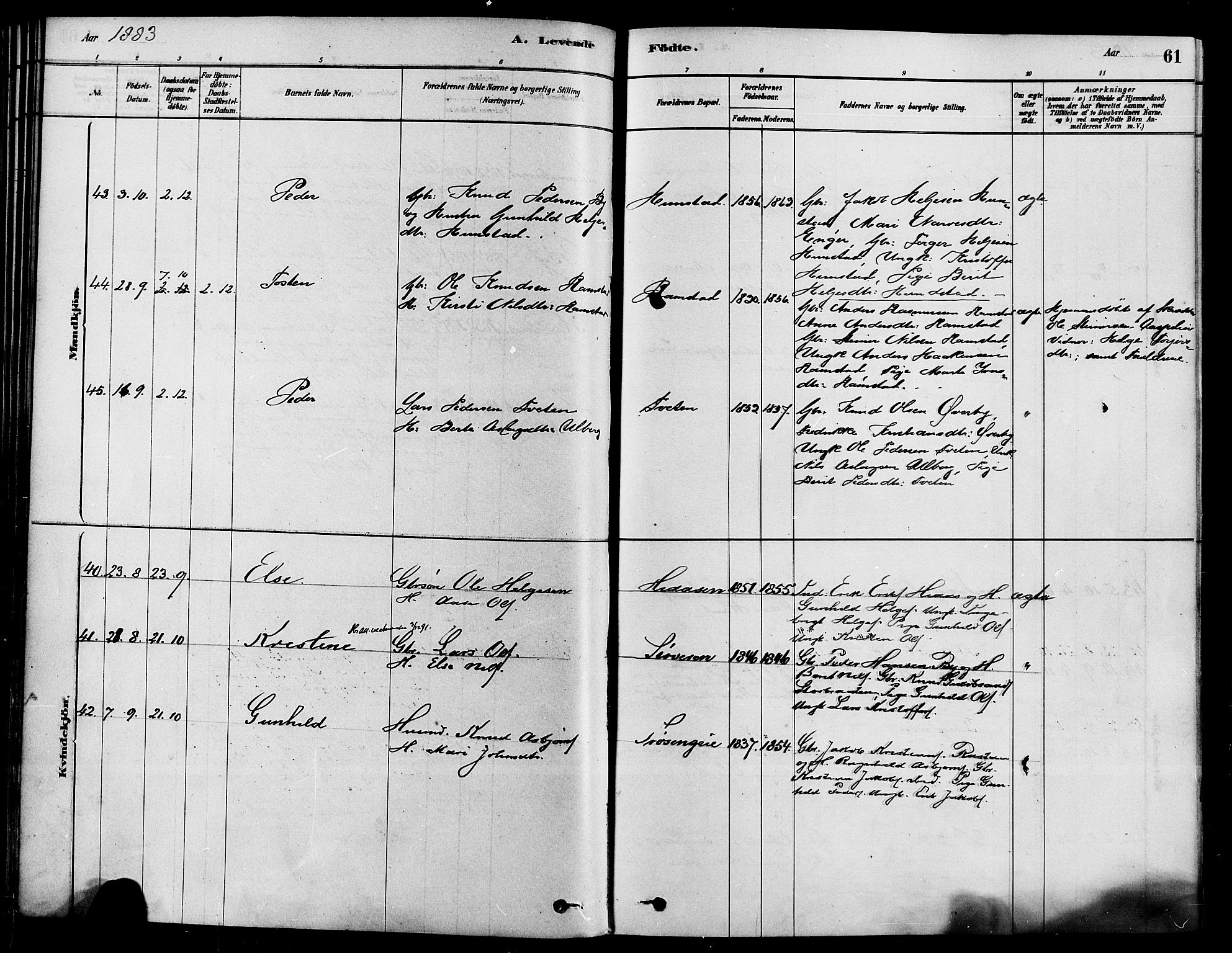 Sigdal kirkebøker, AV/SAKO-A-245/F/Fa/L0011: Parish register (official) no. I 11, 1879-1887, p. 61