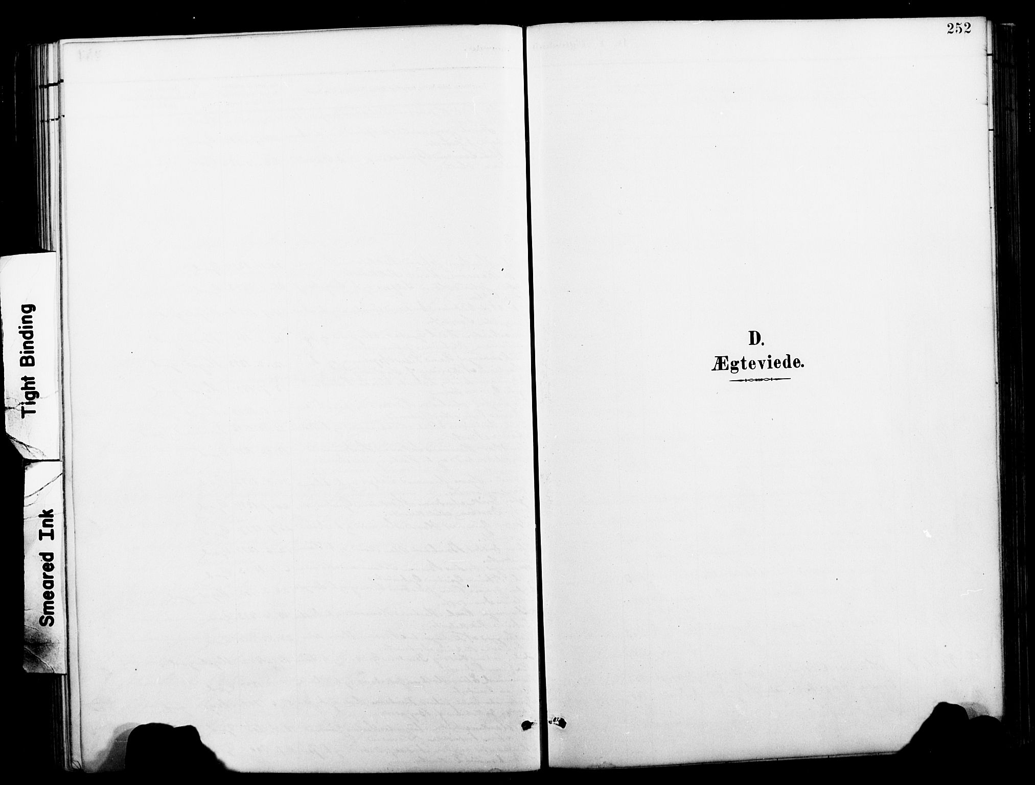 Ministerialprotokoller, klokkerbøker og fødselsregistre - Nordland, SAT/A-1459/827/L0421: Parish register (copy) no. 827C10, 1887-1906, p. 252