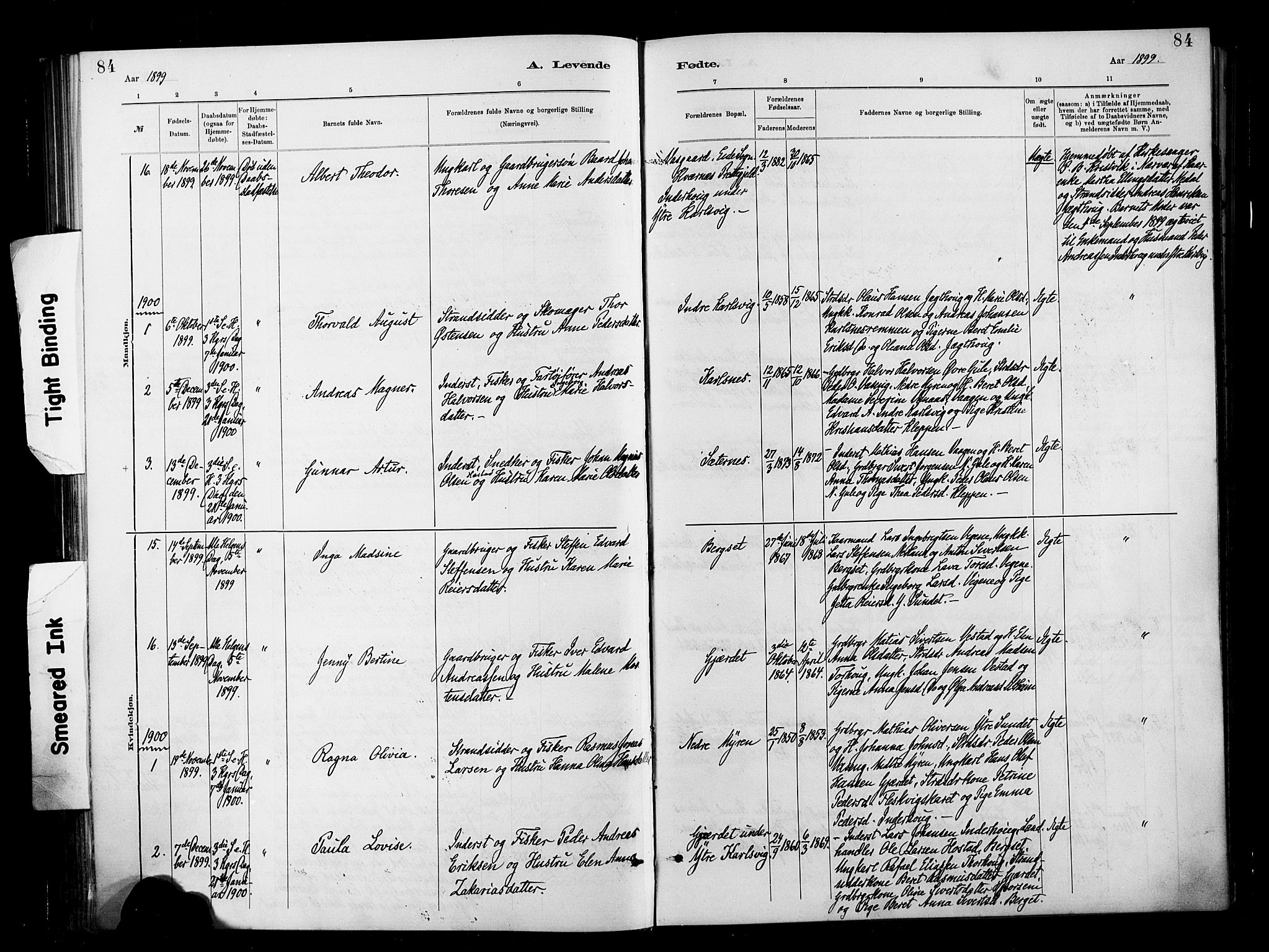 Ministerialprotokoller, klokkerbøker og fødselsregistre - Møre og Romsdal, SAT/A-1454/566/L0769: Parish register (official) no. 566A08, 1881-1903, p. 84