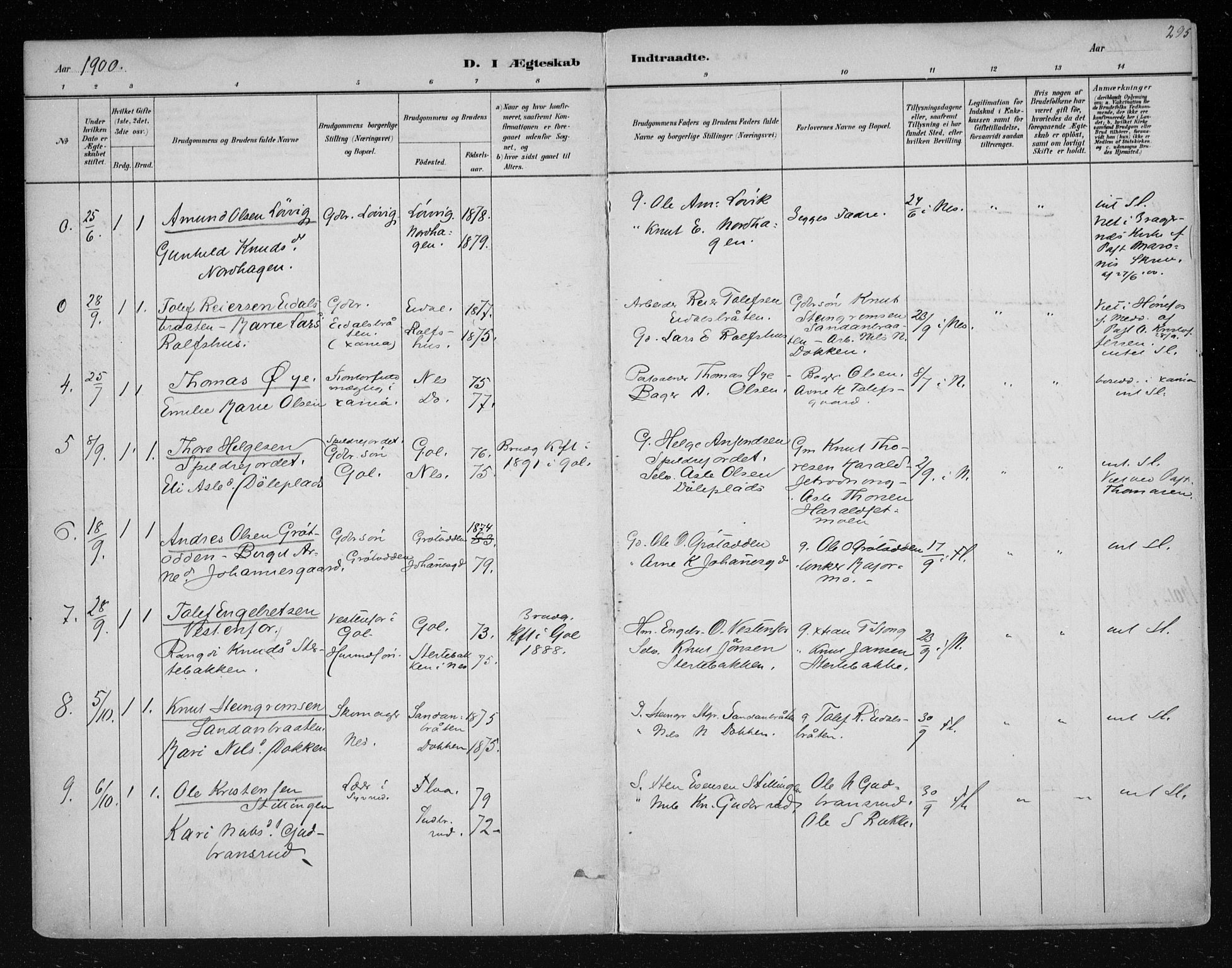 Nes kirkebøker, AV/SAKO-A-236/F/Fa/L0011: Parish register (official) no. 11, 1881-1912, p. 295