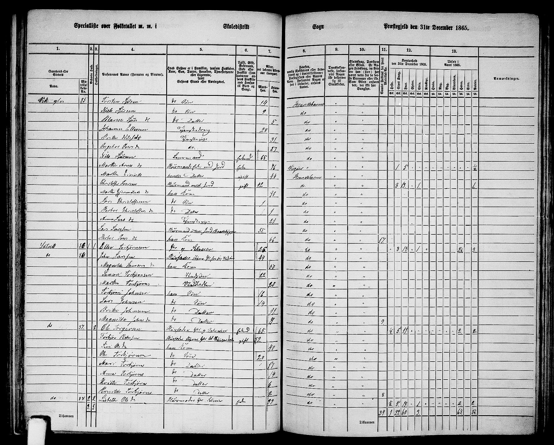 RA, 1865 census for Strandebarm, 1865, p. 131