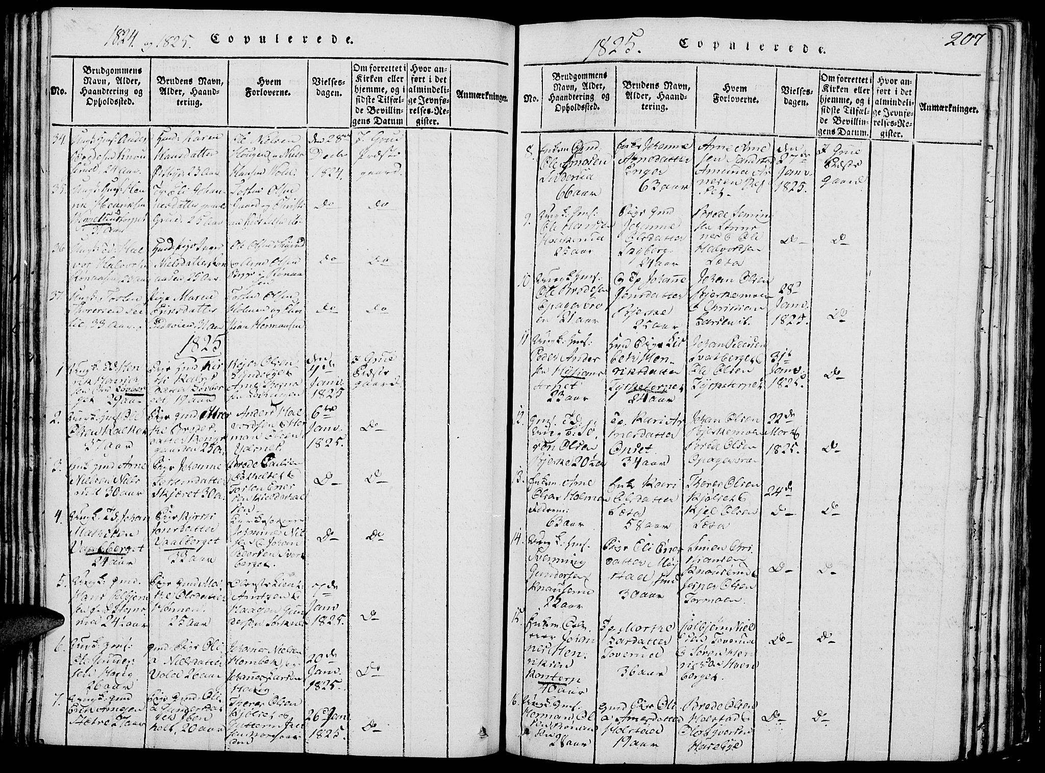 Grue prestekontor, AV/SAH-PREST-036/H/Ha/Hab/L0002: Parish register (copy) no. 2, 1815-1841, p. 207