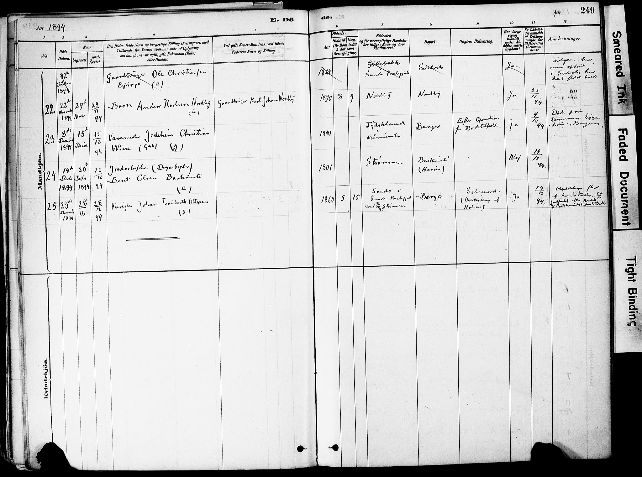 Strømm kirkebøker, AV/SAKO-A-322/F/Fa/L0004: Parish register (official) no. I 4, 1878-1899, p. 249