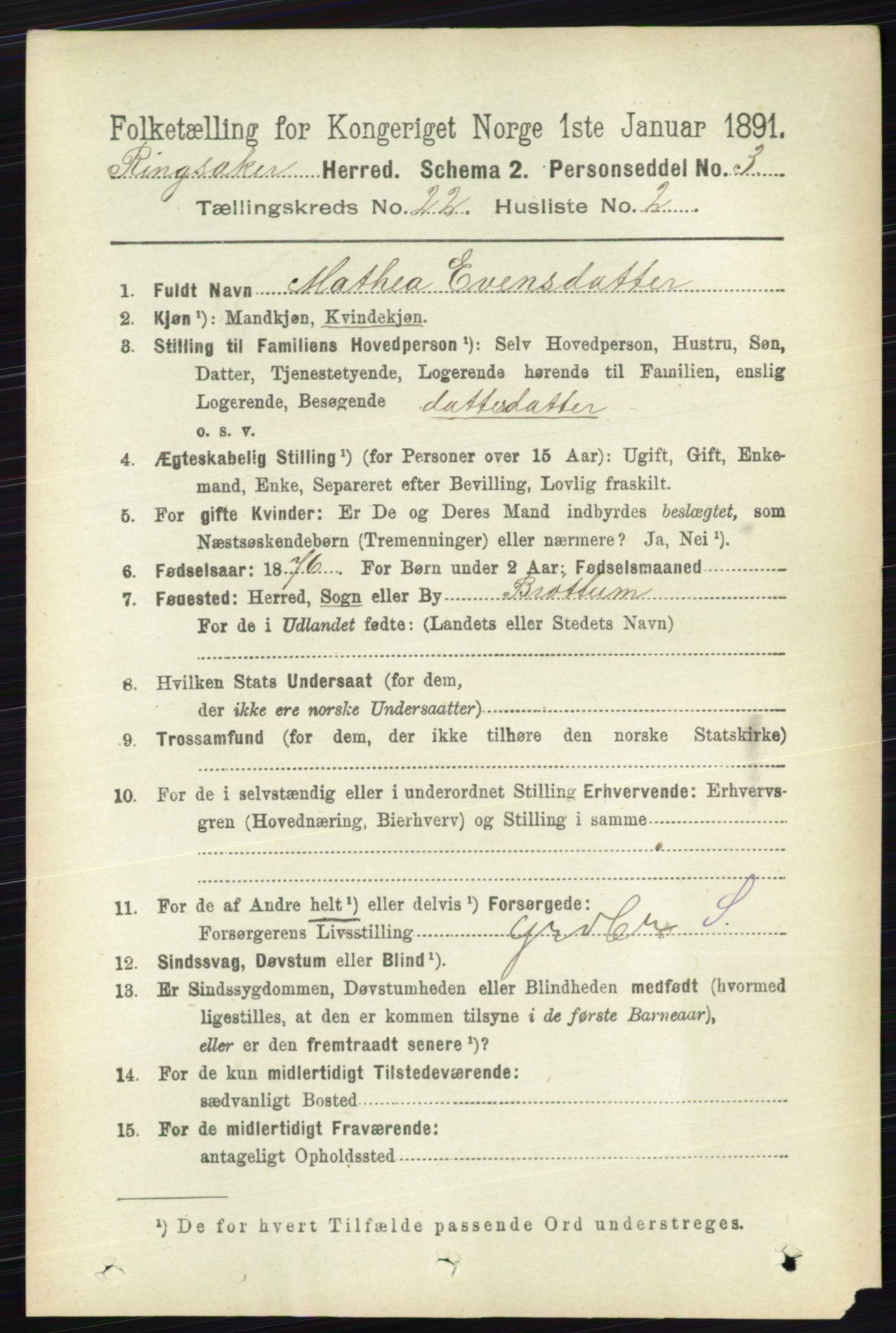 RA, 1891 census for 0412 Ringsaker, 1891, p. 12382