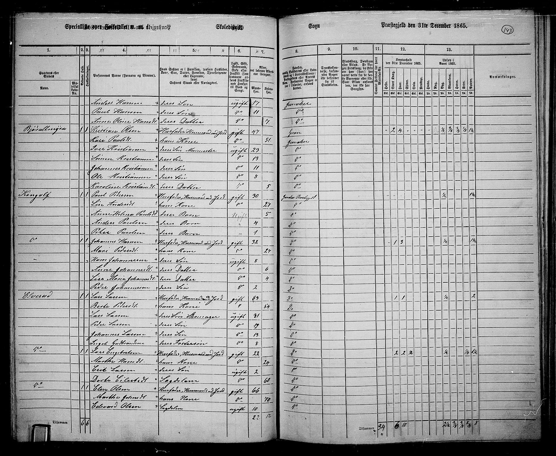 RA, 1865 census for Jevnaker, 1865, p. 132