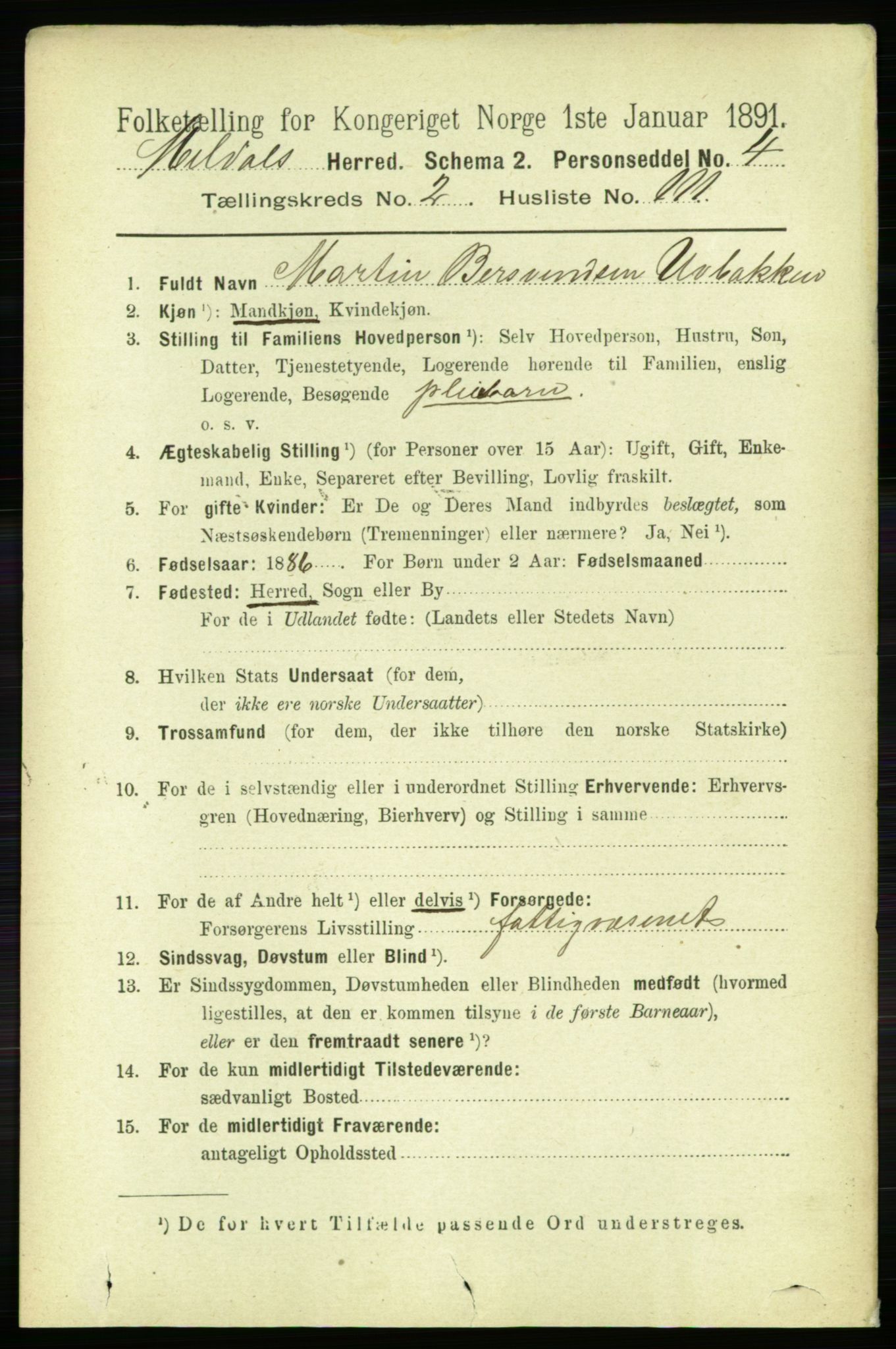 RA, 1891 census for 1636 Meldal, 1891, p. 1691