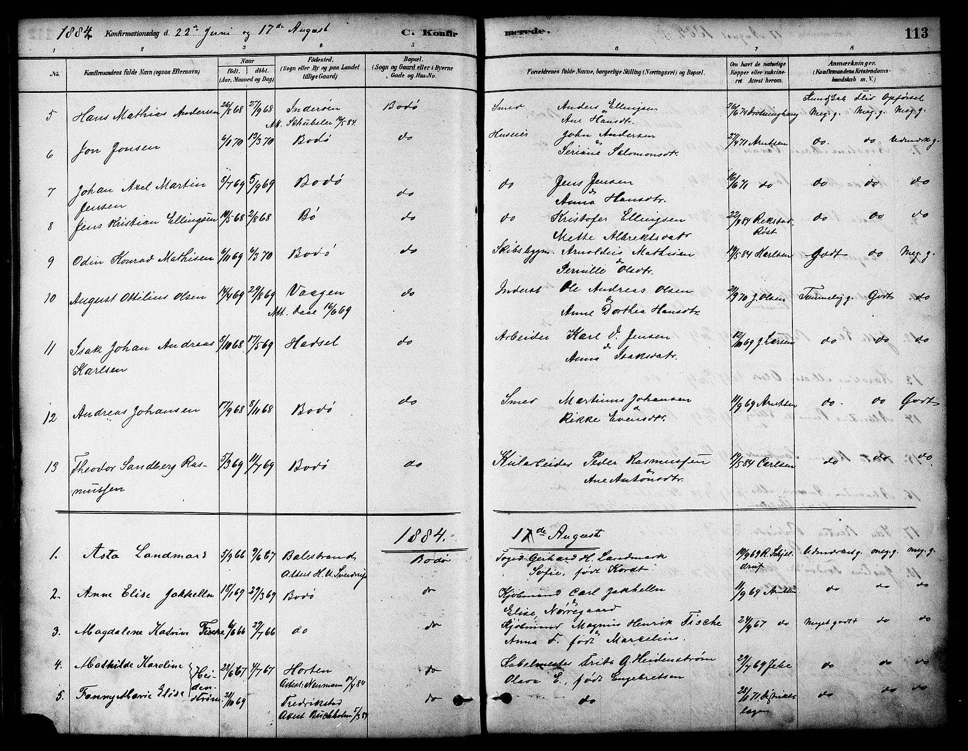 Ministerialprotokoller, klokkerbøker og fødselsregistre - Nordland, AV/SAT-A-1459/801/L0030: Parish register (copy) no. 801C05, 1879-1887, p. 113