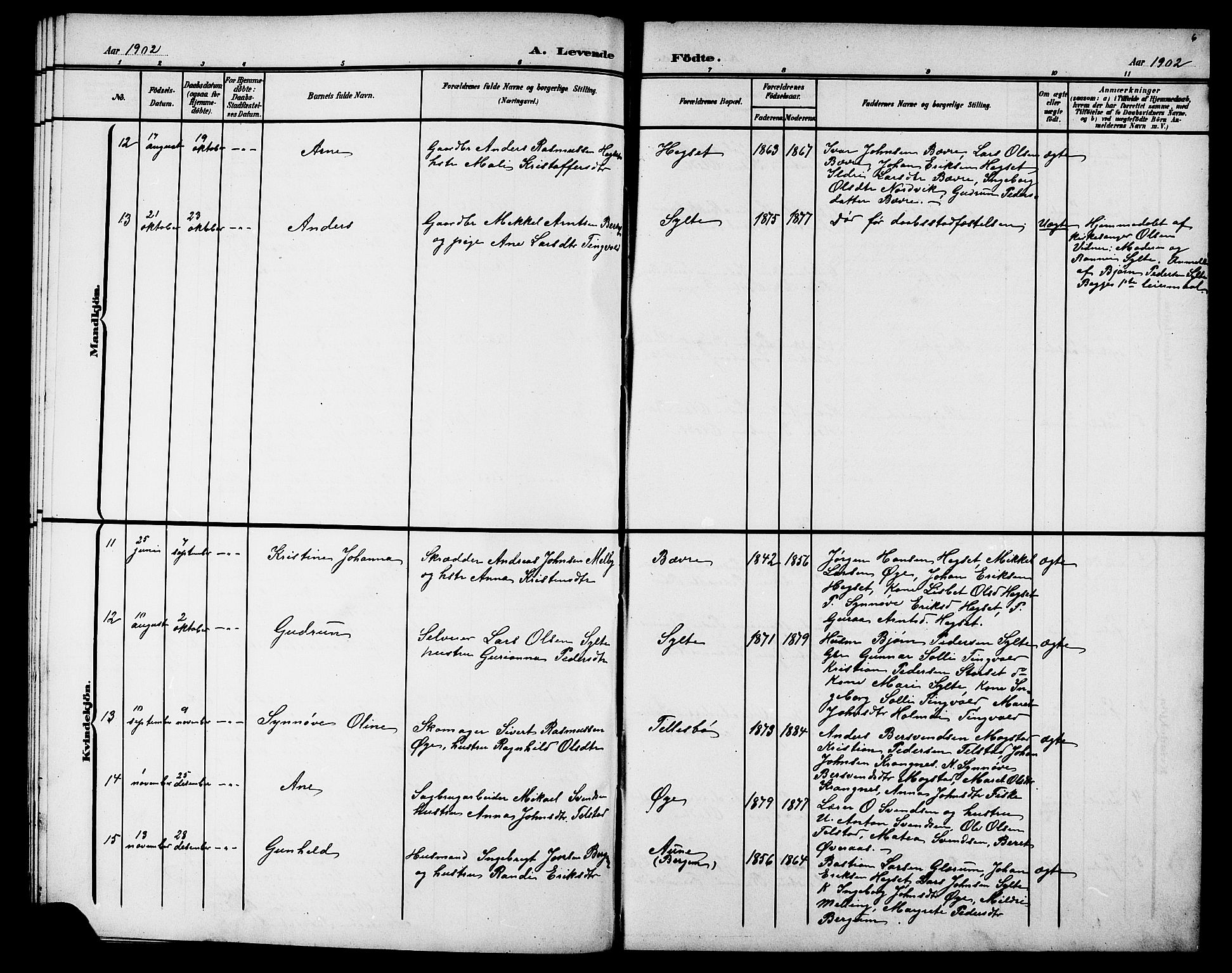 Ministerialprotokoller, klokkerbøker og fødselsregistre - Møre og Romsdal, AV/SAT-A-1454/595/L1053: Parish register (copy) no. 595C05, 1901-1919, p. 6