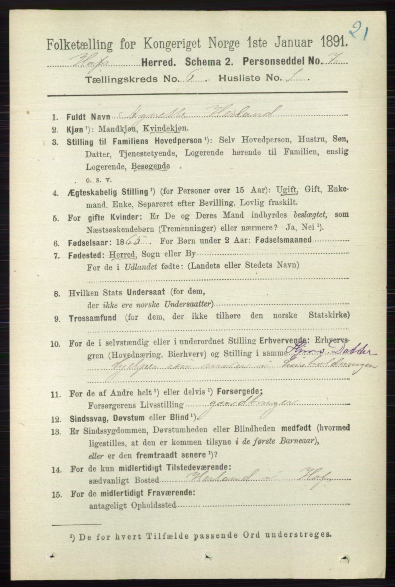 RA, 1891 census for 0714 Hof, 1891, p. 1787