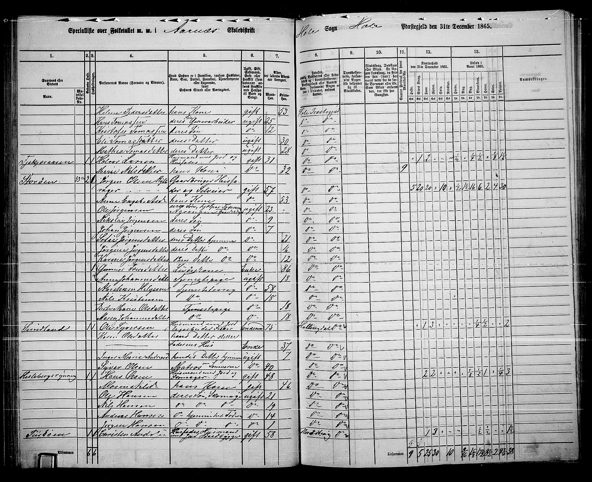 RA, 1865 census for Hole, 1865, p. 45