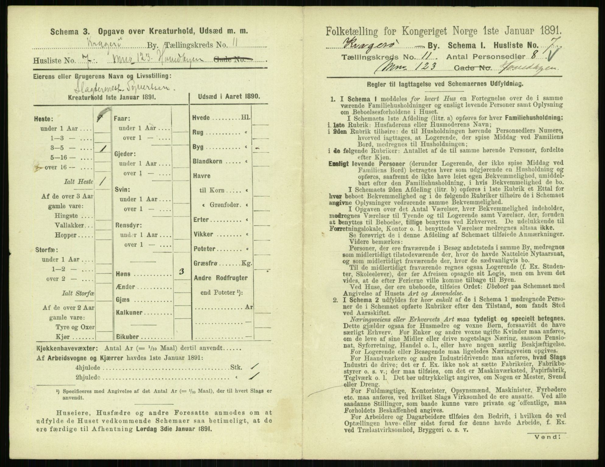 RA, 1891 census for 0801 Kragerø, 1891, p. 626