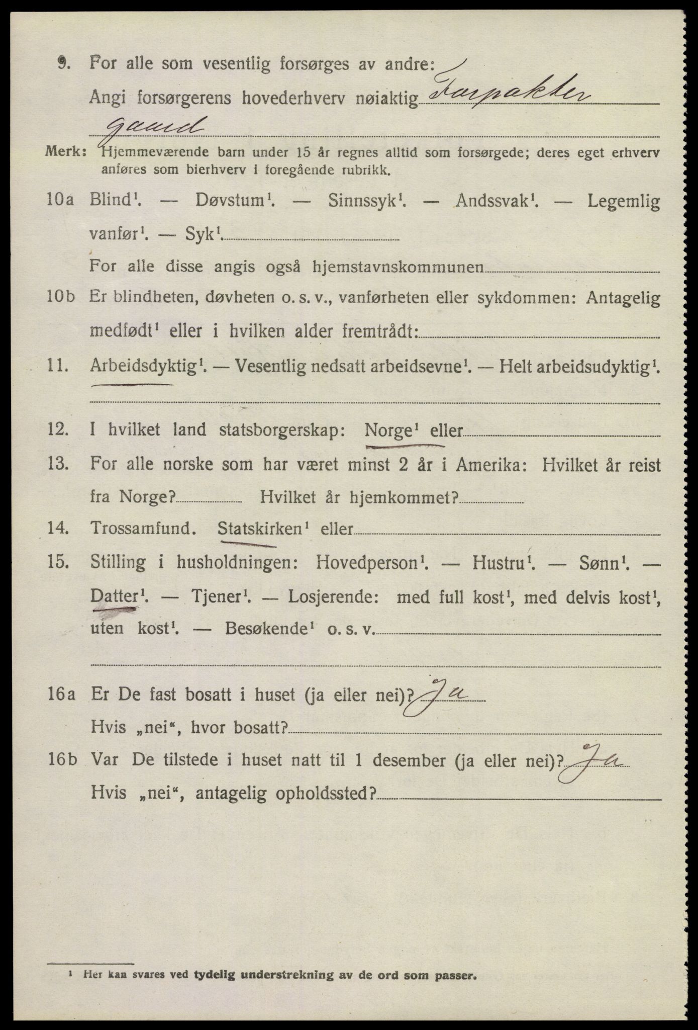 SAKO, 1920 census for Brunlanes, 1920, p. 8590