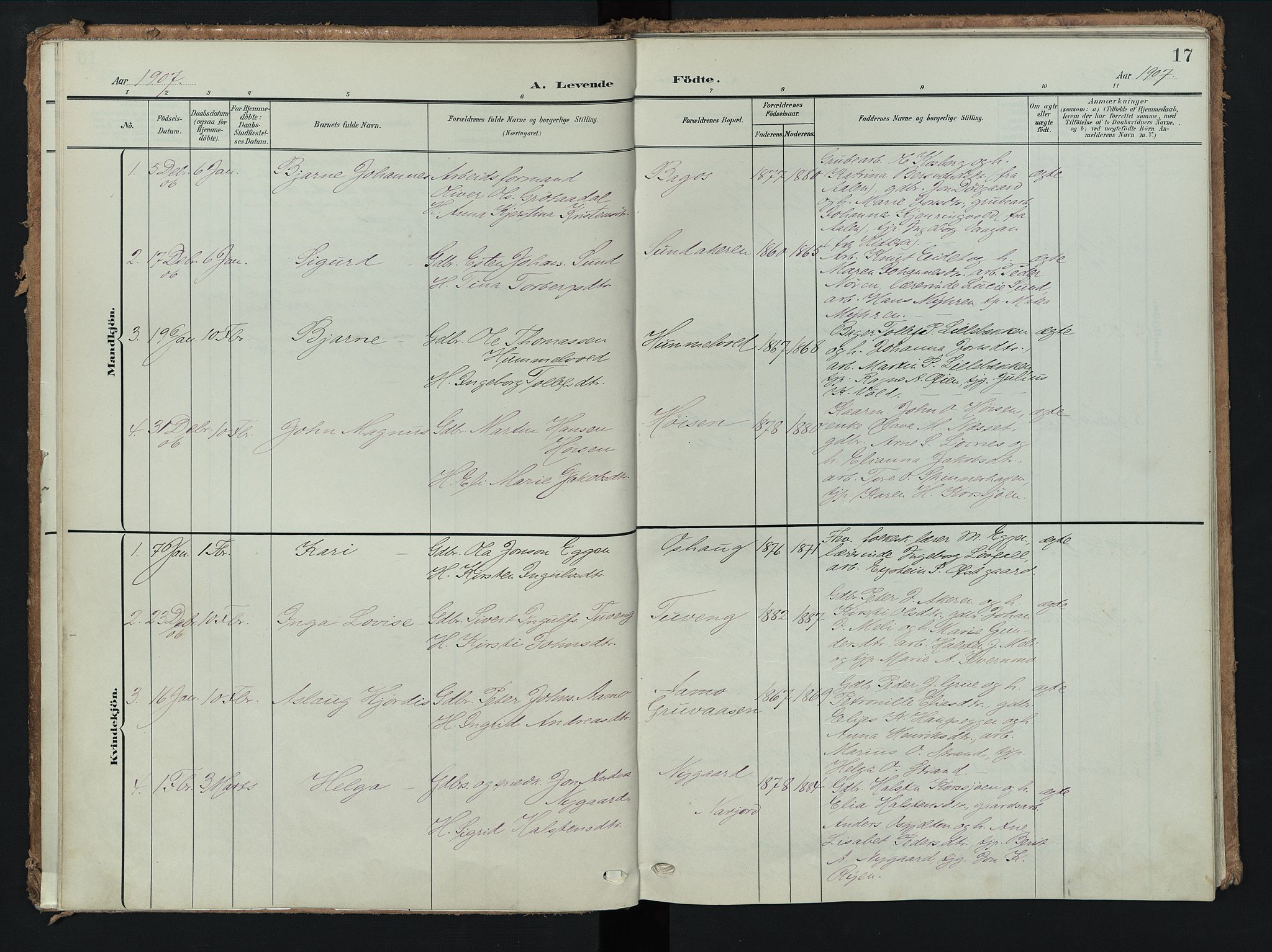 Tolga prestekontor, AV/SAH-PREST-062/K/L0009: Parish register (official) no. 9, 1903-1928, p. 17