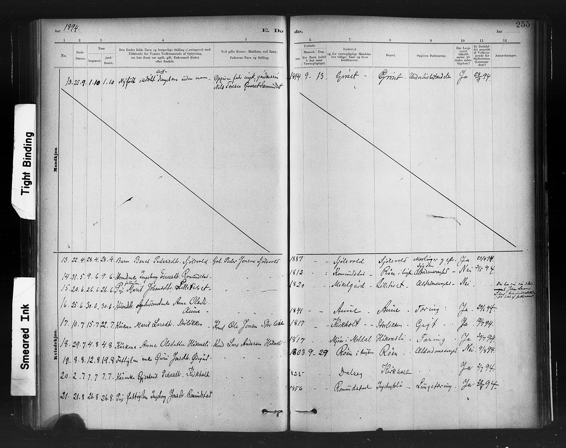 Ministerialprotokoller, klokkerbøker og fødselsregistre - Møre og Romsdal, AV/SAT-A-1454/598/L1069: Parish register (official) no. 598A03, 1882-1895, p. 255