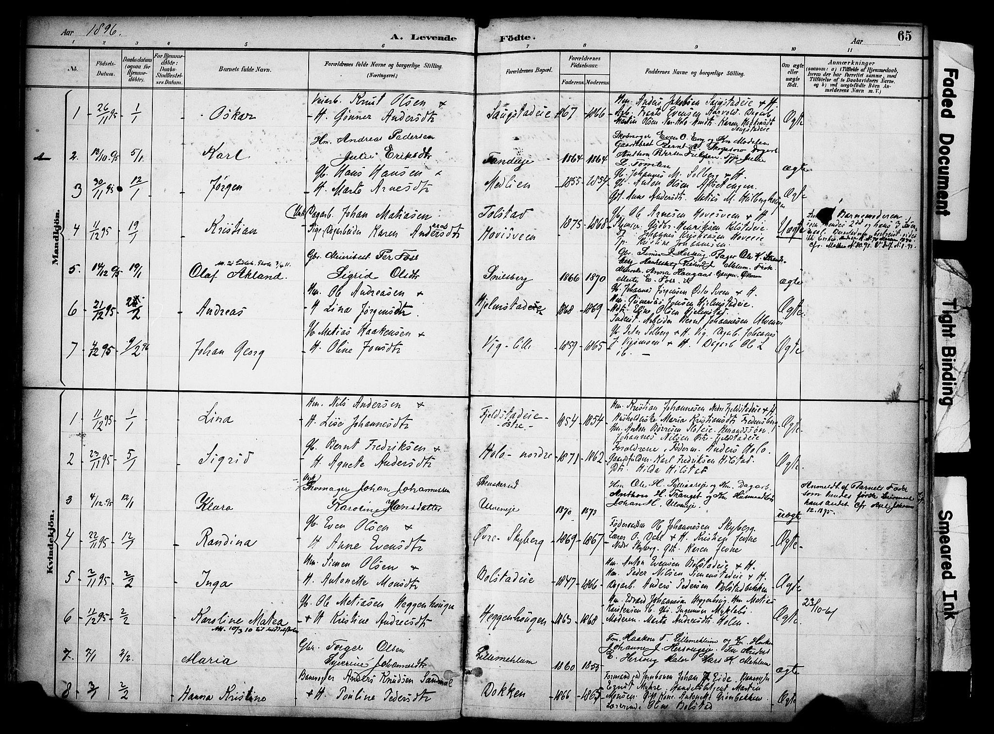 Ringsaker prestekontor, AV/SAH-PREST-014/K/Ka/L0017: Parish register (official) no. 17, 1891-1902, p. 65