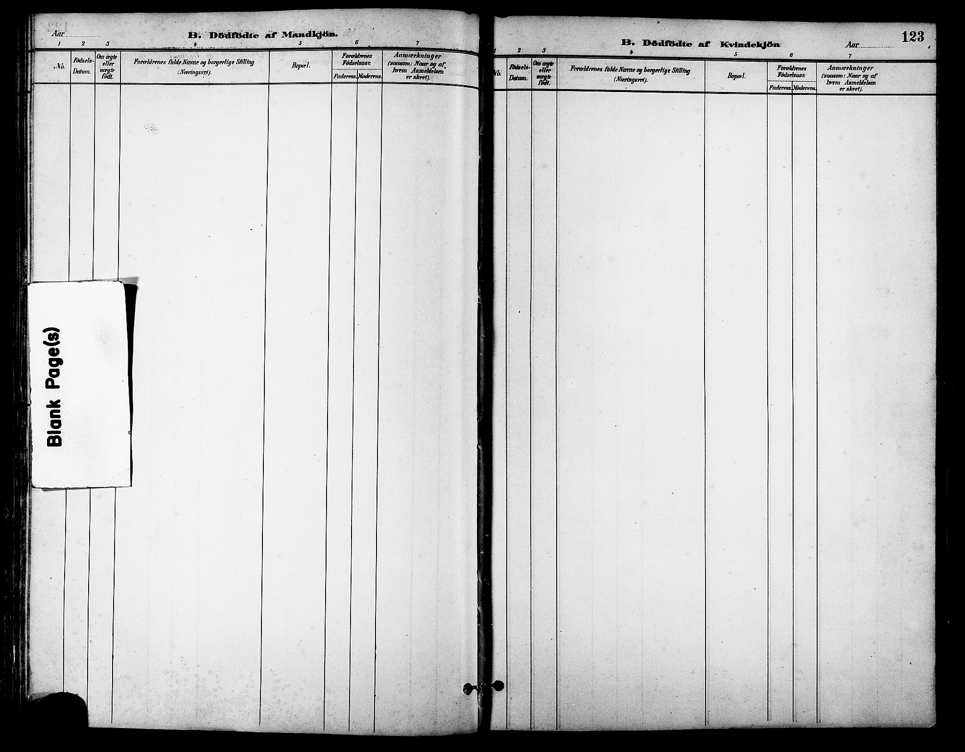 Ministerialprotokoller, klokkerbøker og fødselsregistre - Møre og Romsdal, AV/SAT-A-1454/513/L0189: Parish register (copy) no. 513C03, 1883-1904, p. 123