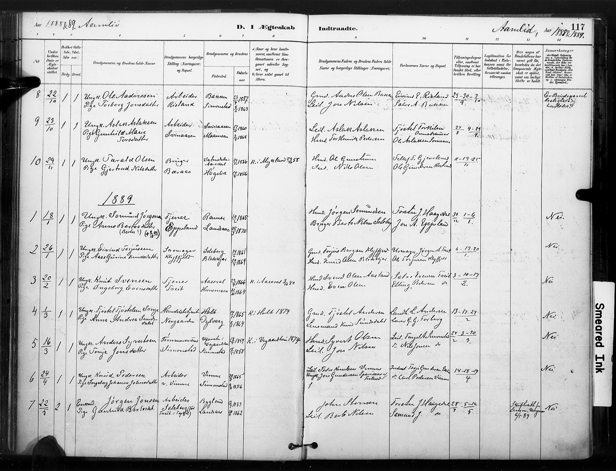 Åmli sokneprestkontor, SAK/1111-0050/F/Fa/Fac/L0010: Parish register (official) no. A 10 /1, 1885-1899, p. 117