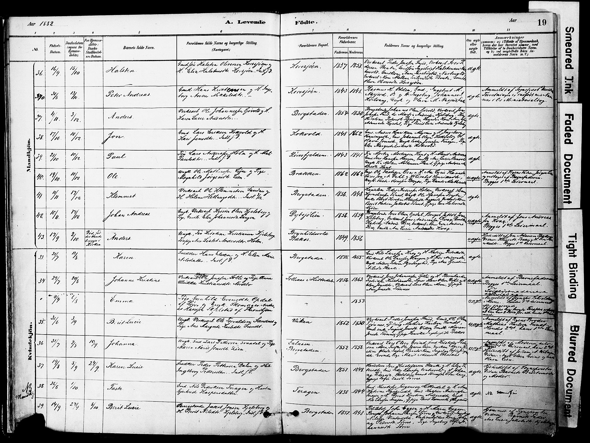 Ministerialprotokoller, klokkerbøker og fødselsregistre - Sør-Trøndelag, AV/SAT-A-1456/681/L0933: Parish register (official) no. 681A11, 1879-1890, p. 19