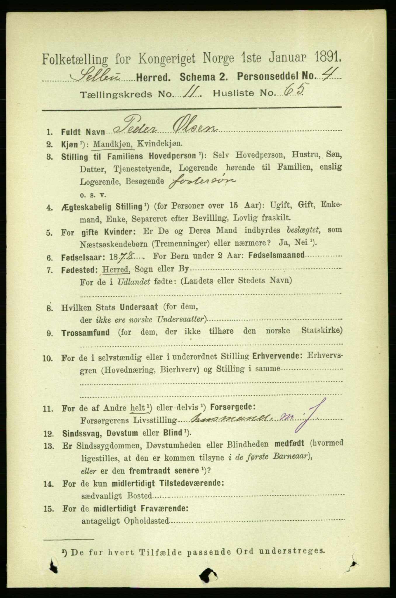 RA, 1891 census for 1664 Selbu, 1891, p. 4366