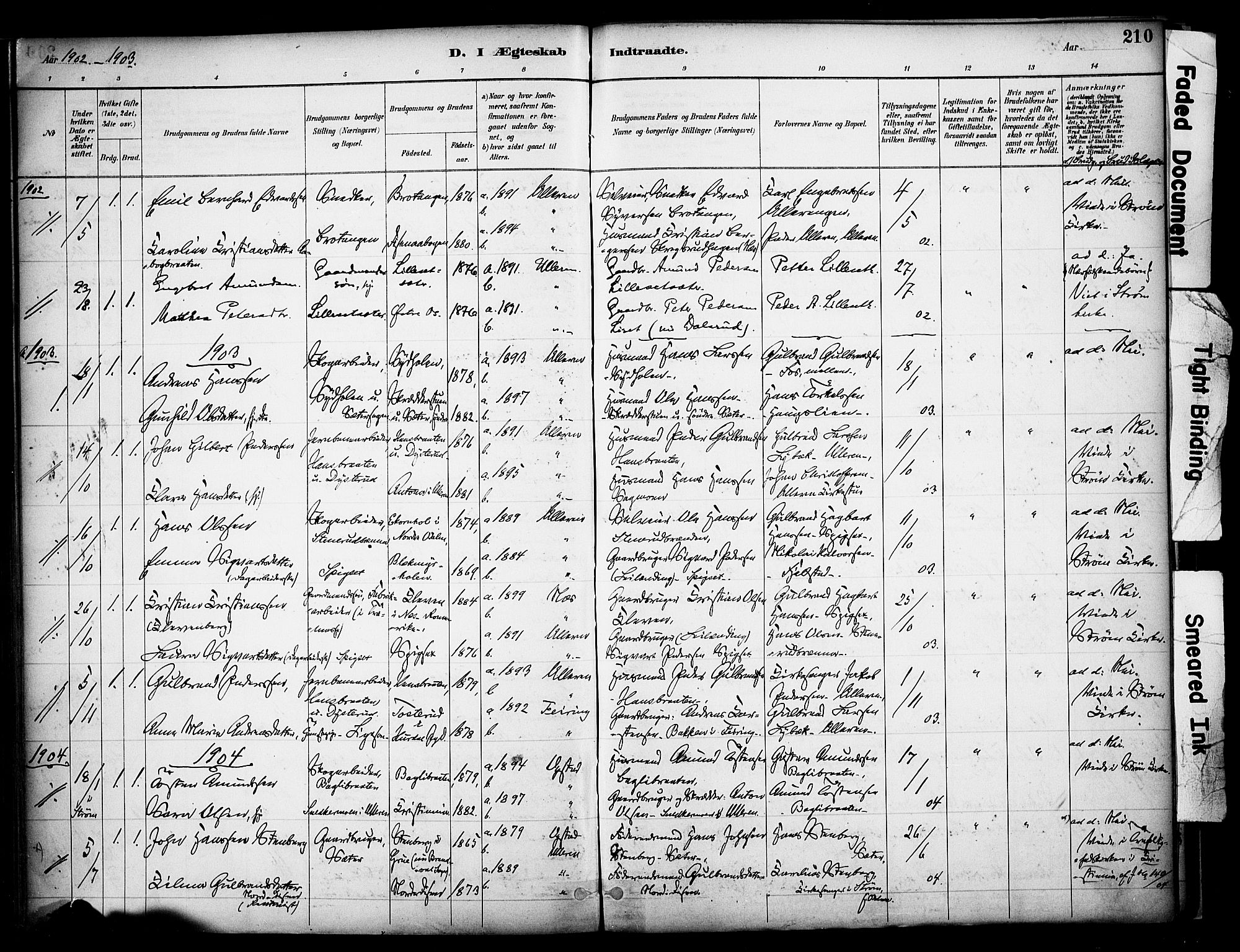 Sør-Odal prestekontor, SAH/PREST-030/H/Ha/Haa/L0008: Parish register (official) no. 8, 1886-1922, p. 210