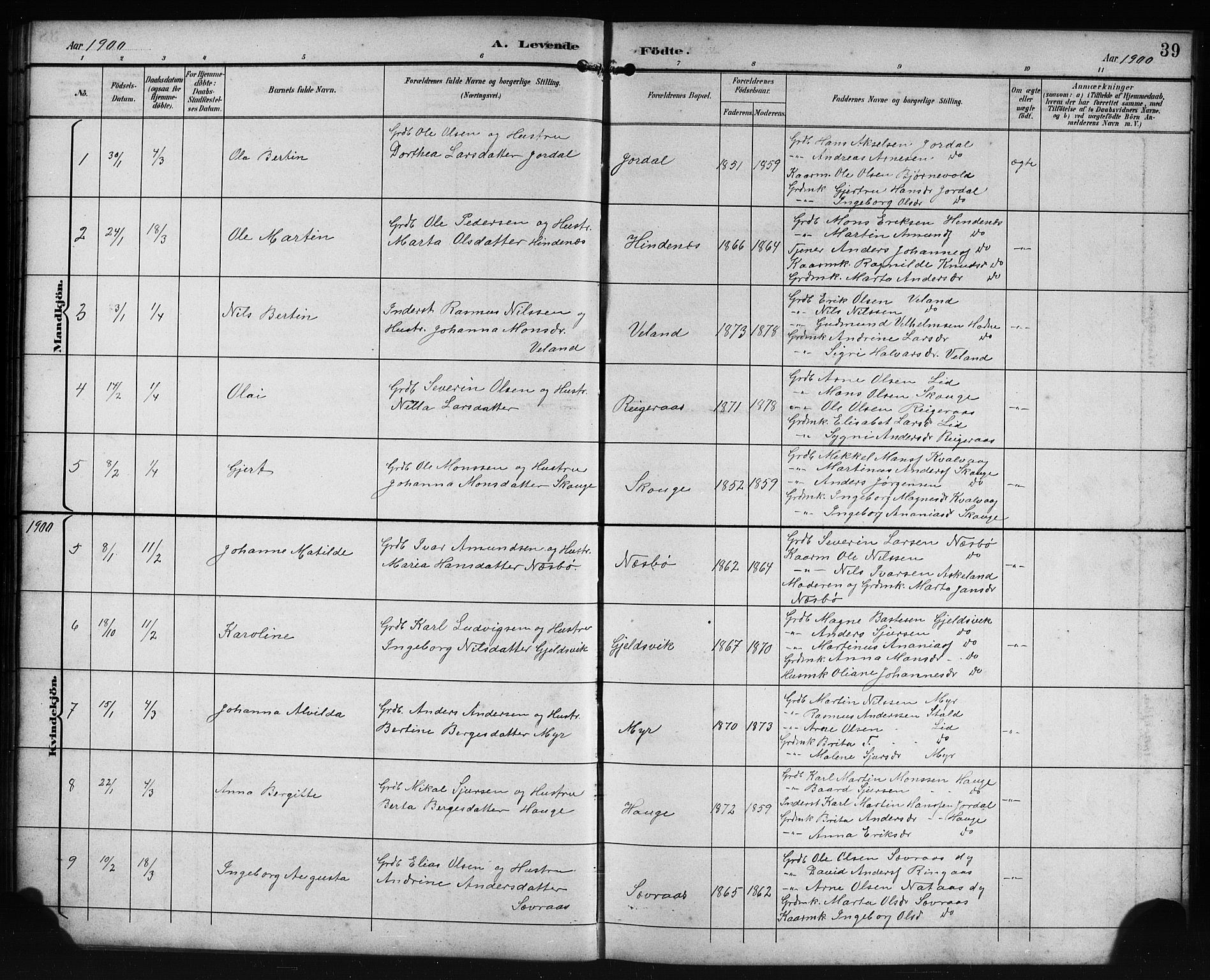 Lindås Sokneprestembete, SAB/A-76701/H/Hab: Parish register (copy) no. E 3, 1892-1905, p. 39