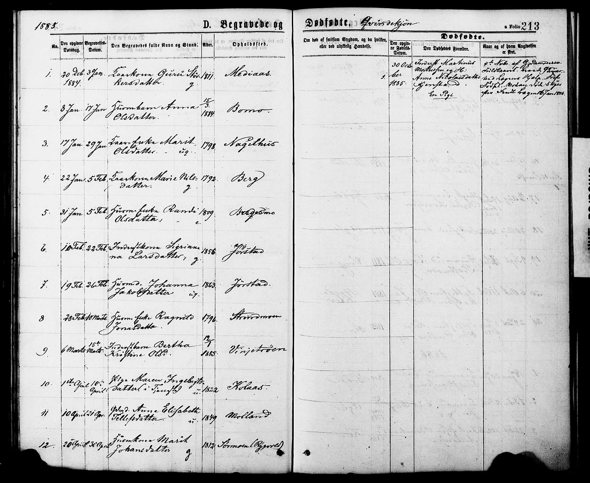 Ministerialprotokoller, klokkerbøker og fødselsregistre - Nord-Trøndelag, AV/SAT-A-1458/749/L0473: Parish register (official) no. 749A07, 1873-1887, p. 213