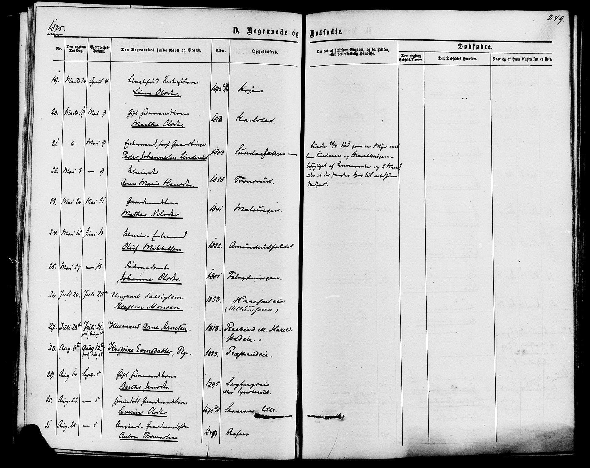 Romedal prestekontor, SAH/PREST-004/K/L0006: Parish register (official) no. 6, 1866-1886, p. 249