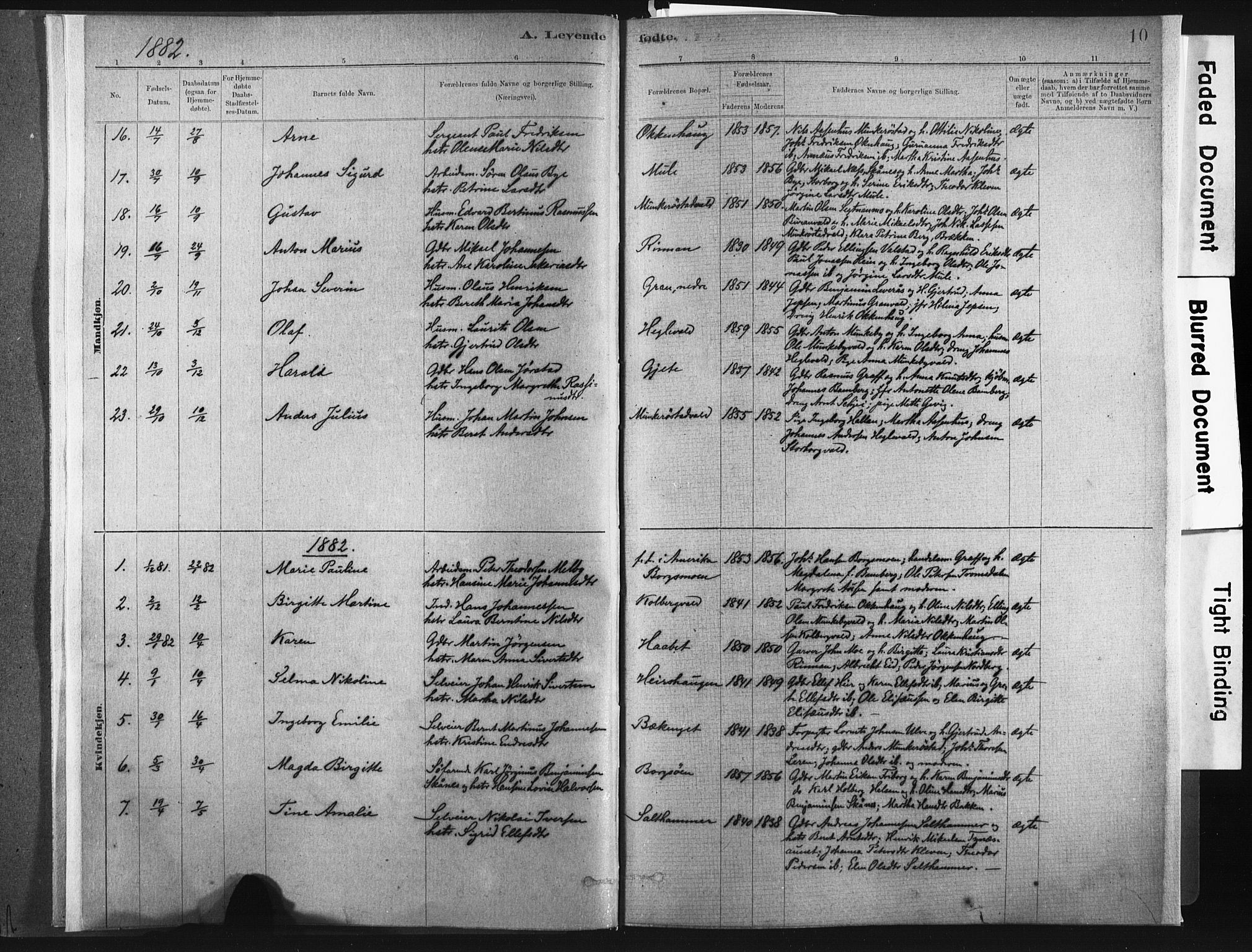Ministerialprotokoller, klokkerbøker og fødselsregistre - Nord-Trøndelag, SAT/A-1458/721/L0207: Parish register (official) no. 721A02, 1880-1911, p. 10