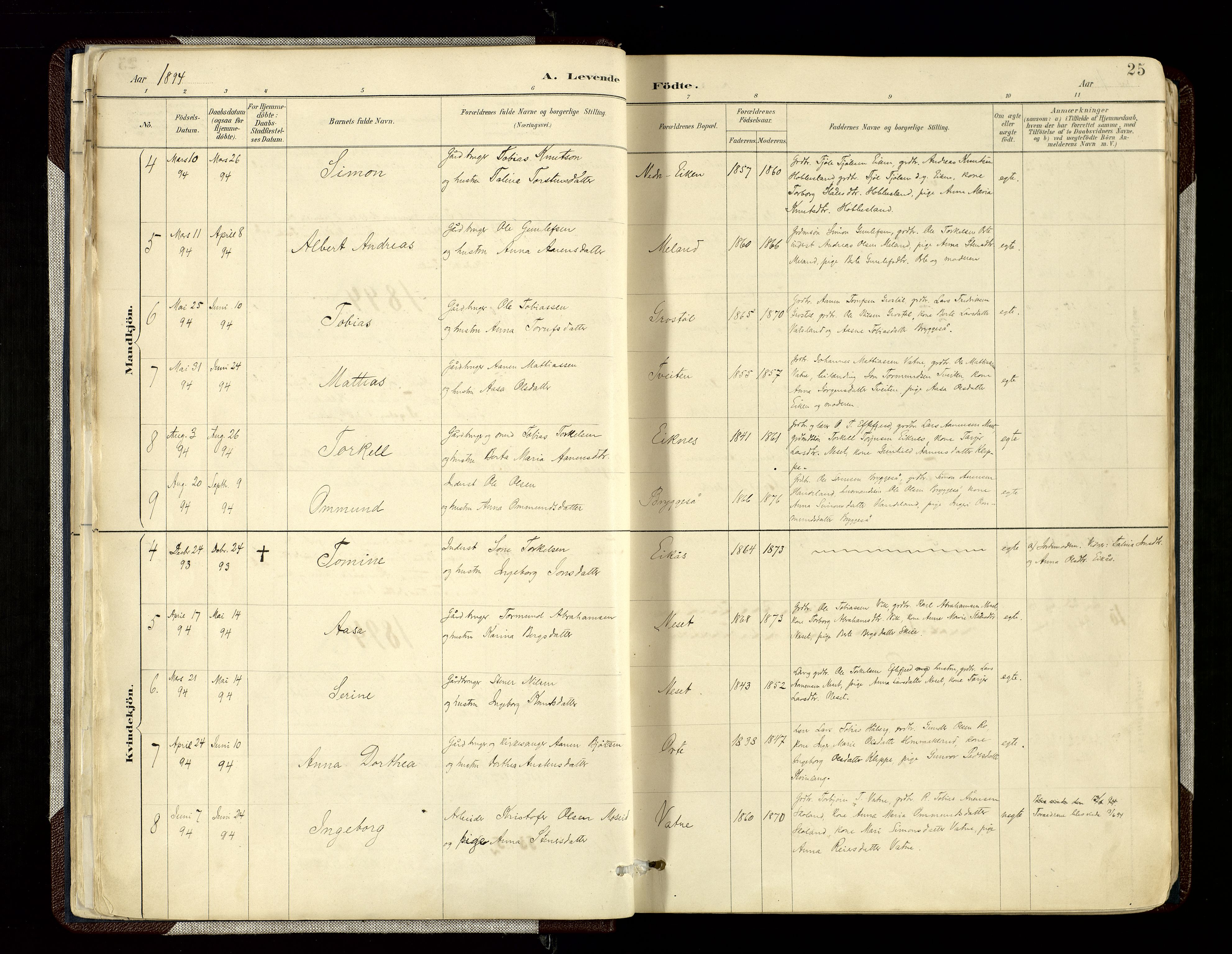 Hægebostad sokneprestkontor, SAK/1111-0024/F/Fa/Fab/L0004: Parish register (official) no. A 4, 1887-1929, p. 25