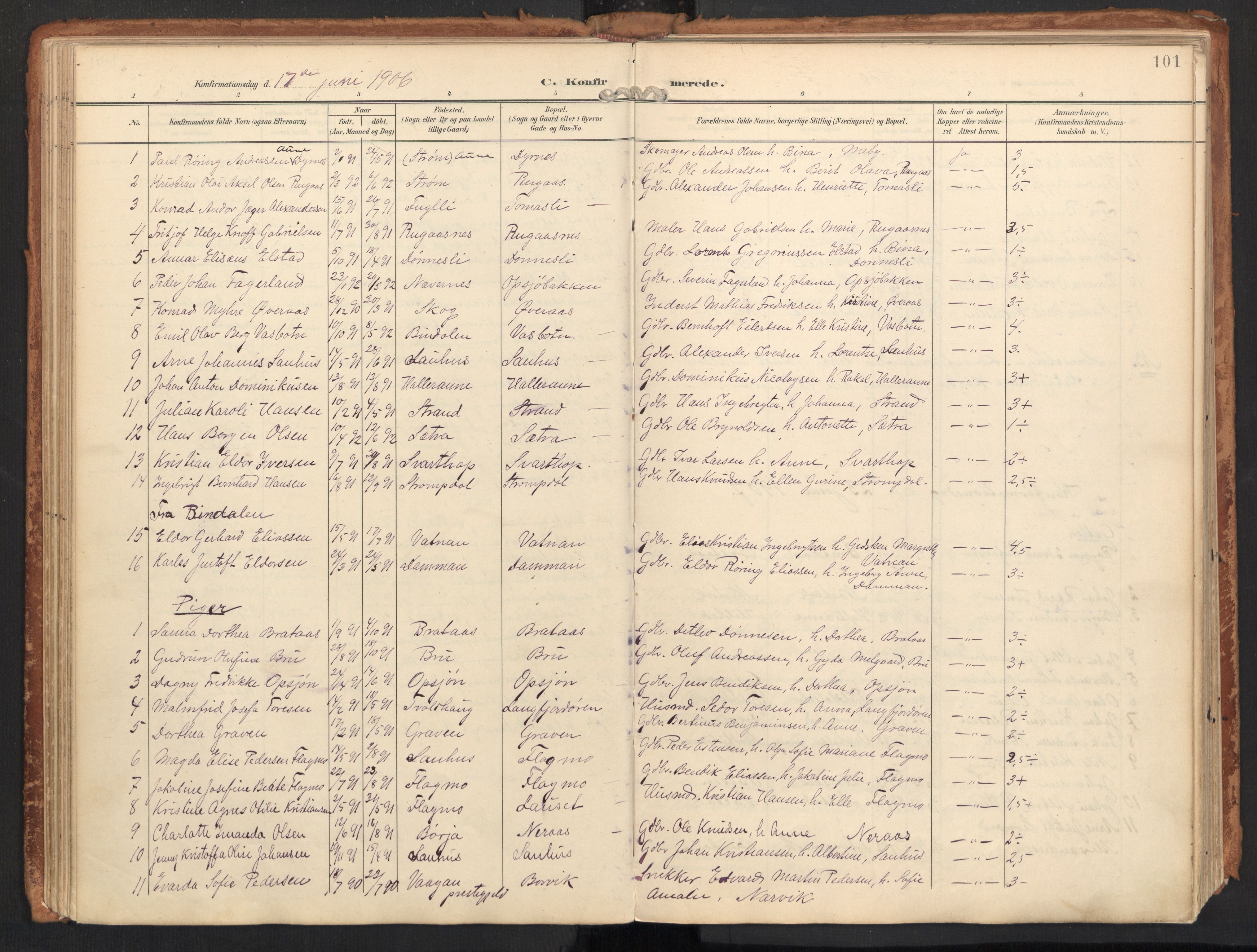Ministerialprotokoller, klokkerbøker og fødselsregistre - Nordland, SAT/A-1459/814/L0227: Parish register (official) no. 814A08, 1899-1920, p. 101