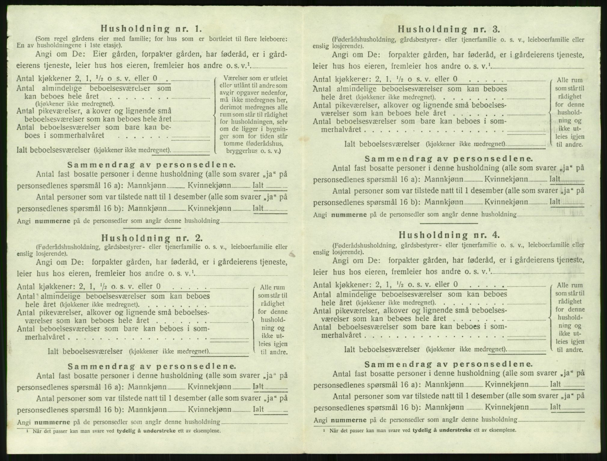 SAT, 1920 census for Sunnylven, 1920, p. 491