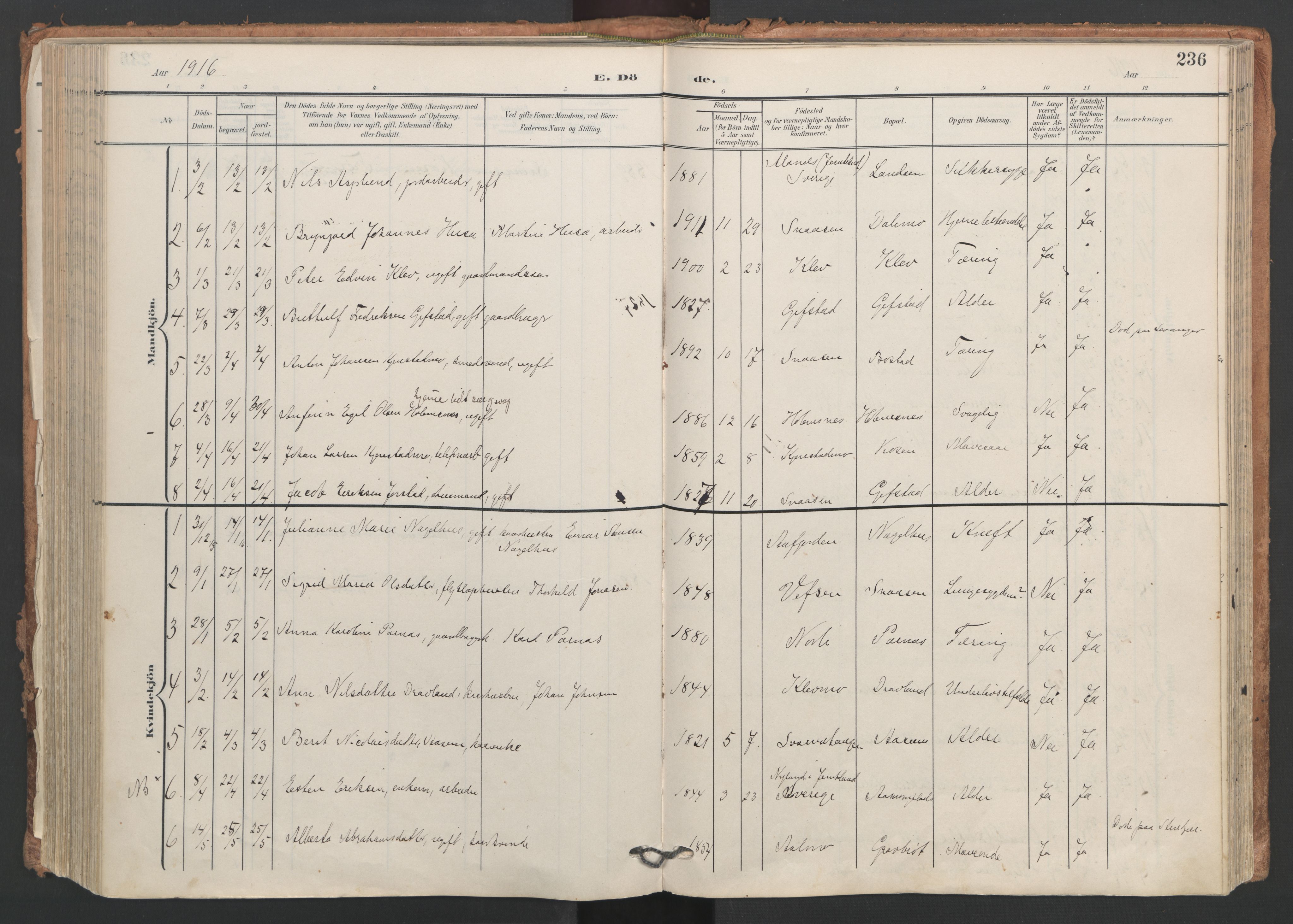 Ministerialprotokoller, klokkerbøker og fødselsregistre - Nord-Trøndelag, SAT/A-1458/749/L0477: Parish register (official) no. 749A11, 1902-1927, p. 236