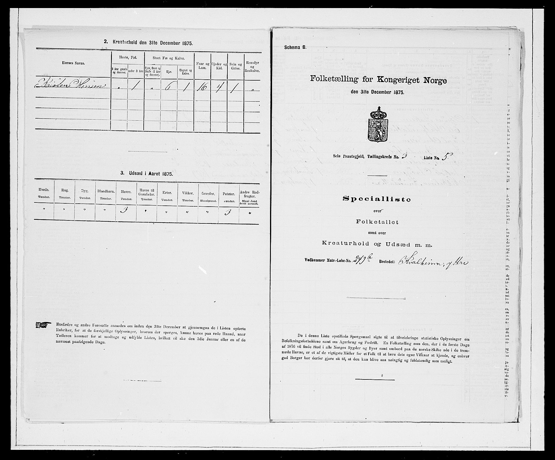 SAB, 1875 Census for 1441P Selje, 1875, p. 384