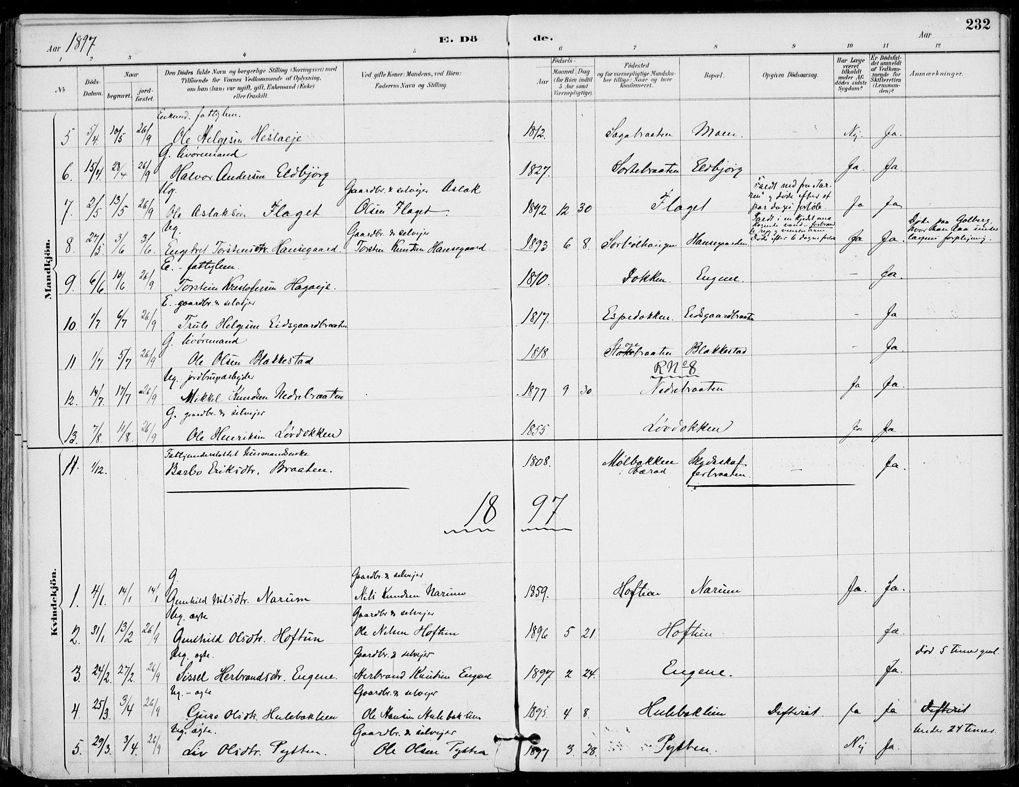 Gol kirkebøker, AV/SAKO-A-226/F/Fa/L0005: Parish register (official) no. I 5, 1887-1900, p. 232